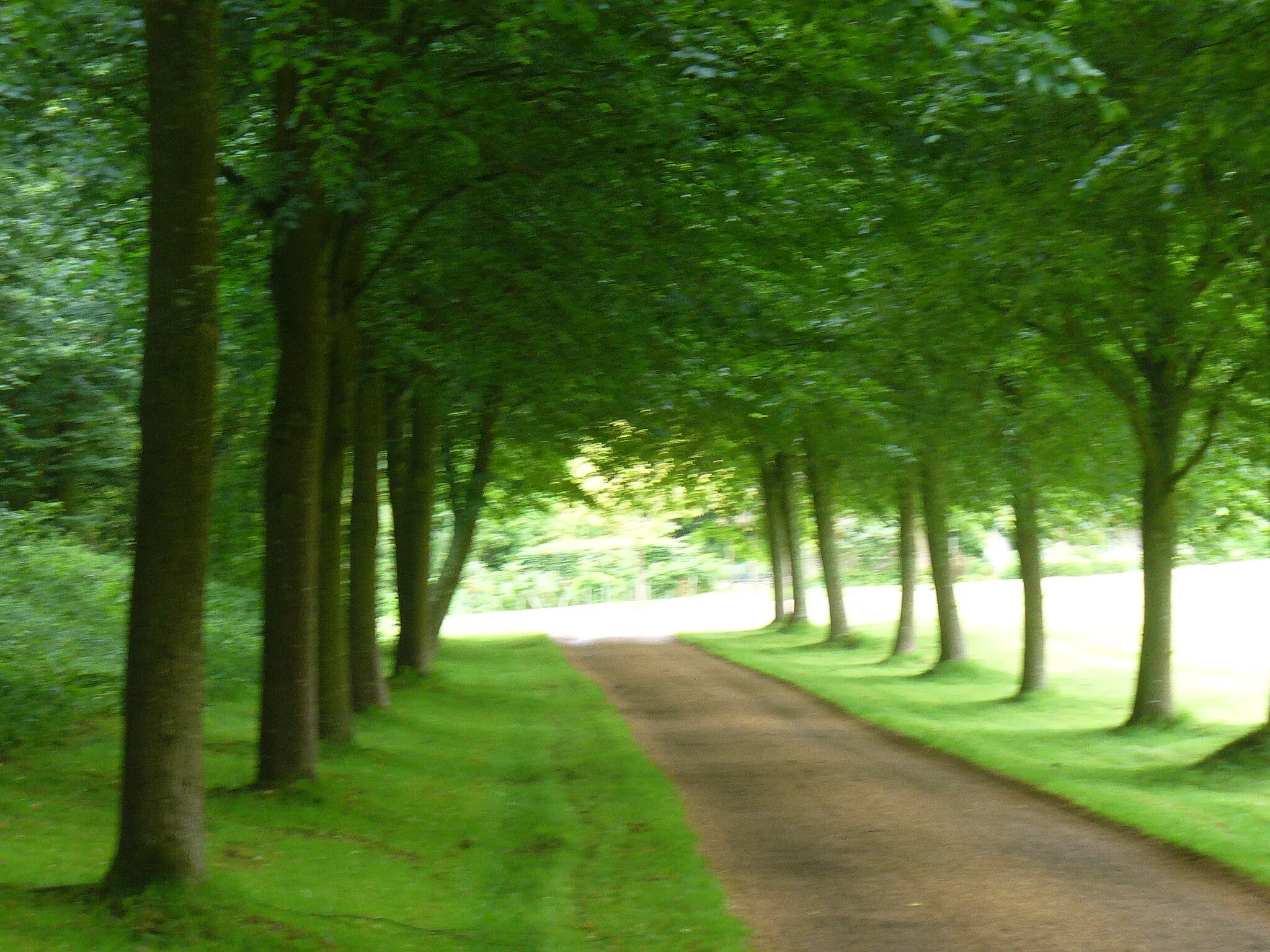 Photo showing: Avenue at Bighton House