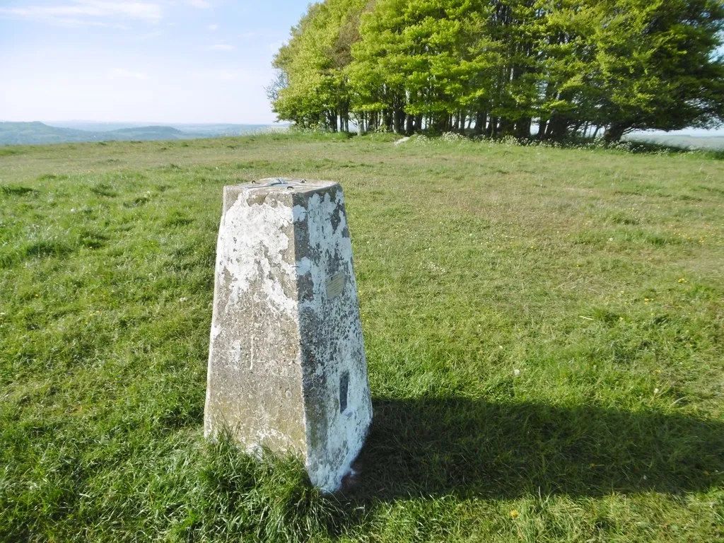 Photo showing: Win Green, trig point