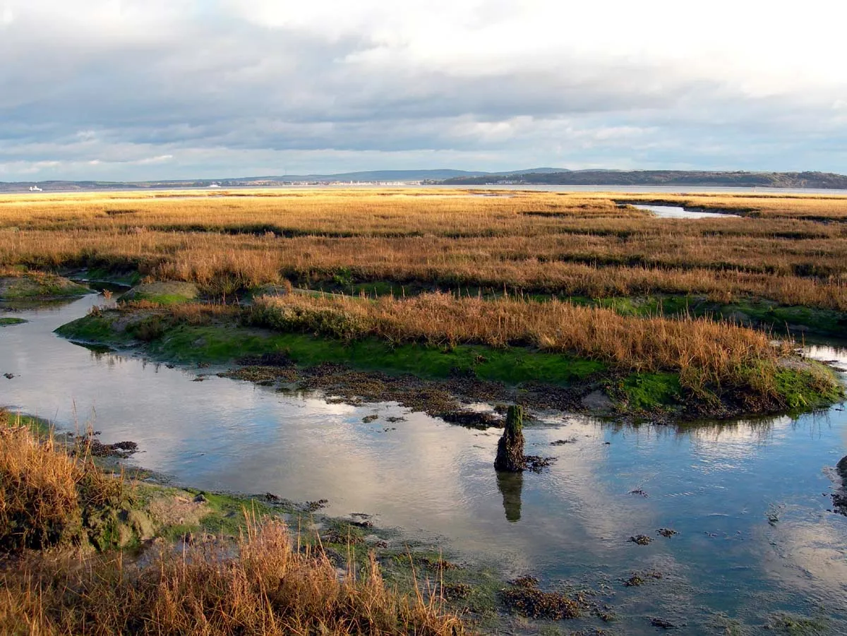 Photo showing: Pennington Marshes, Late Afternoon with patchy Cloud