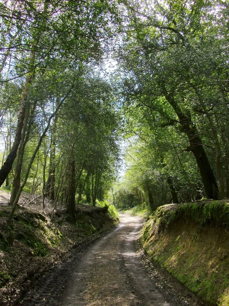 Photo showing: Up hill to Acres Down