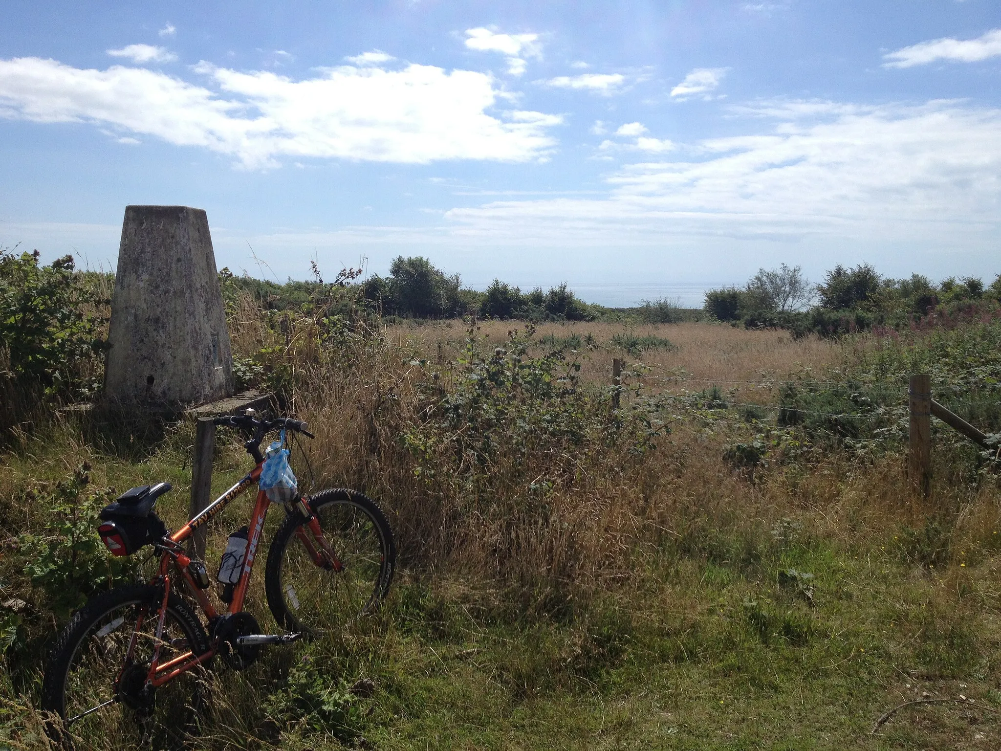 Photo showing: Brighstone Down TP1627