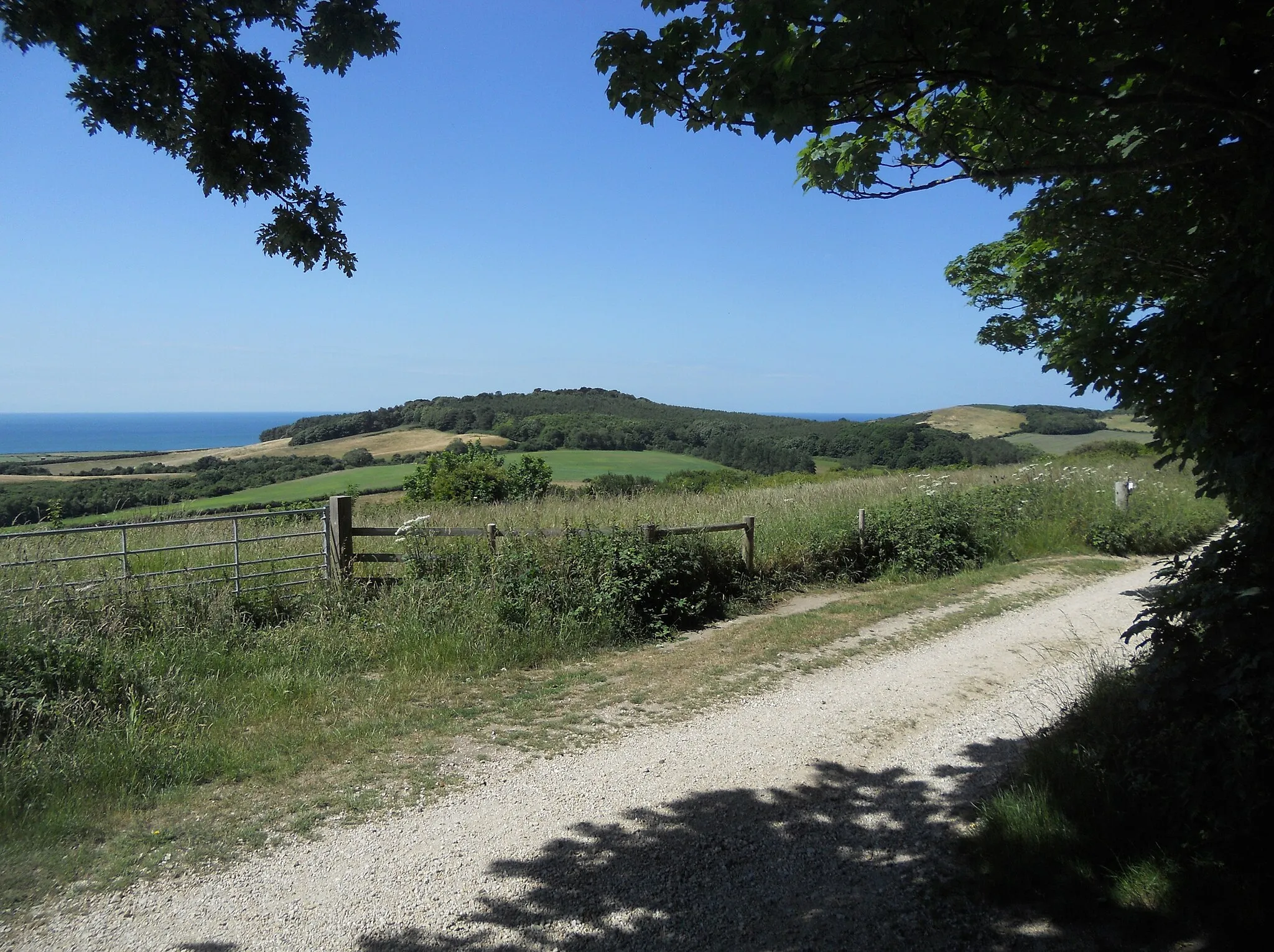 Photo showing: View from Brighstone Down, Isle of Wight, England