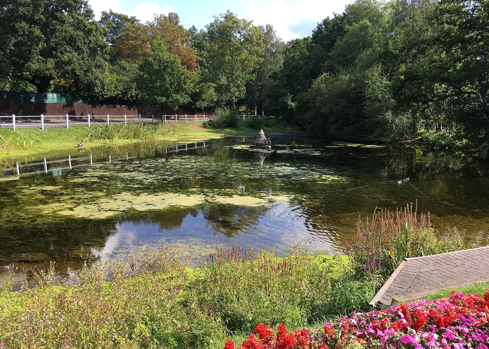 Photo showing: Townsend's Pond, Hurst