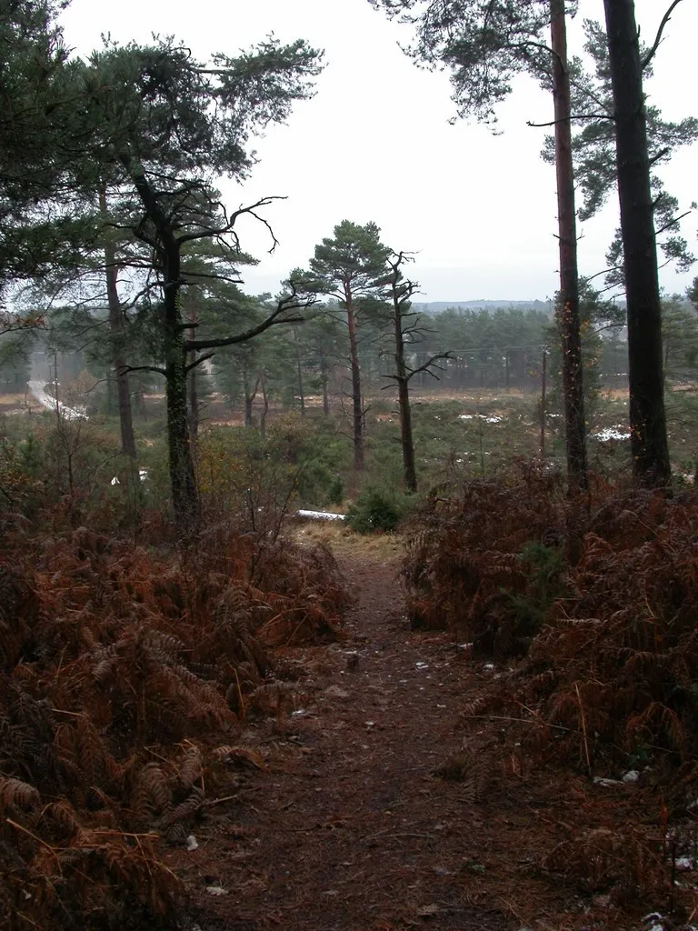 Photo showing: Lions Hill, footpath