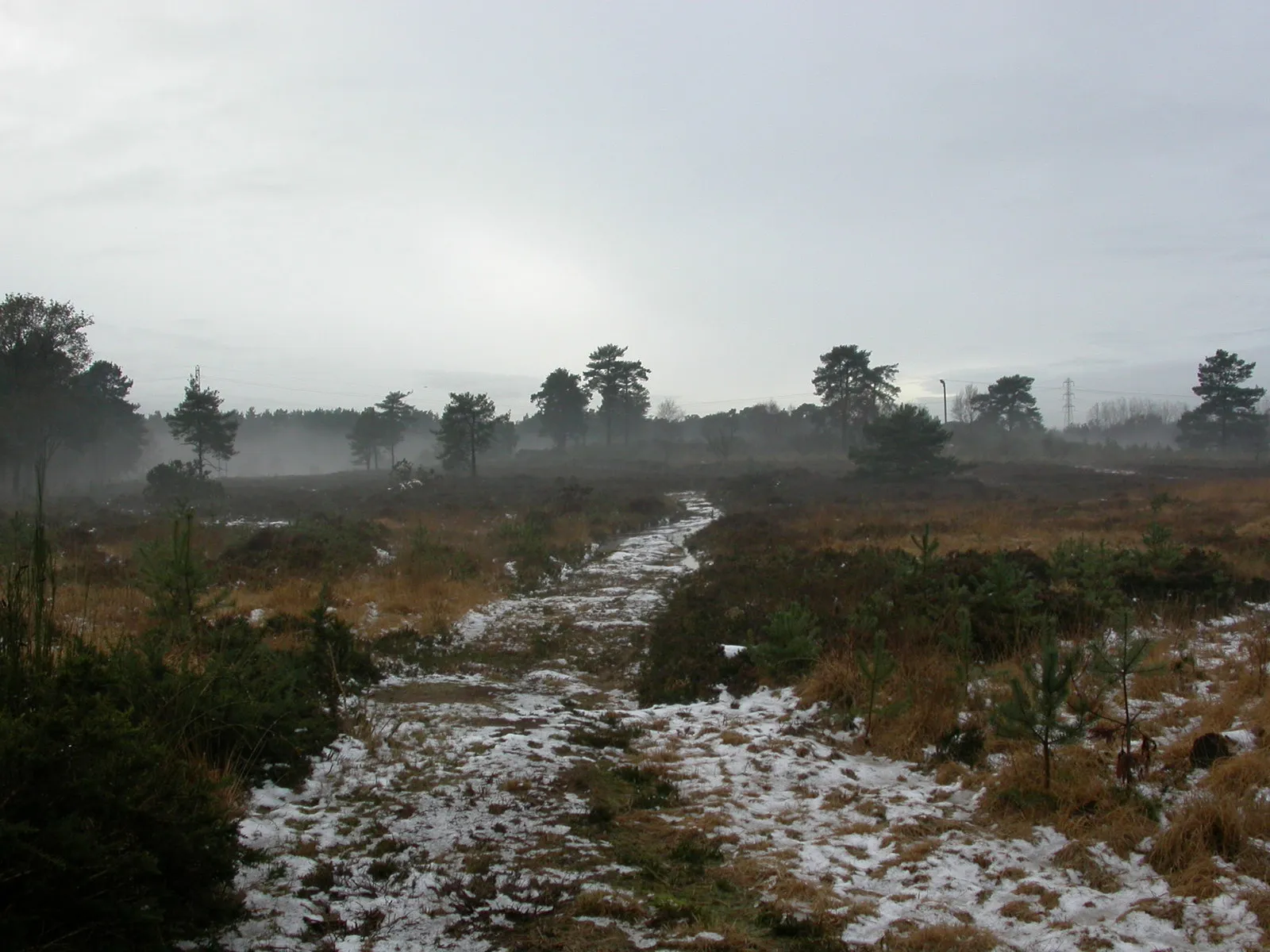 Photo showing: Lions Hill, track