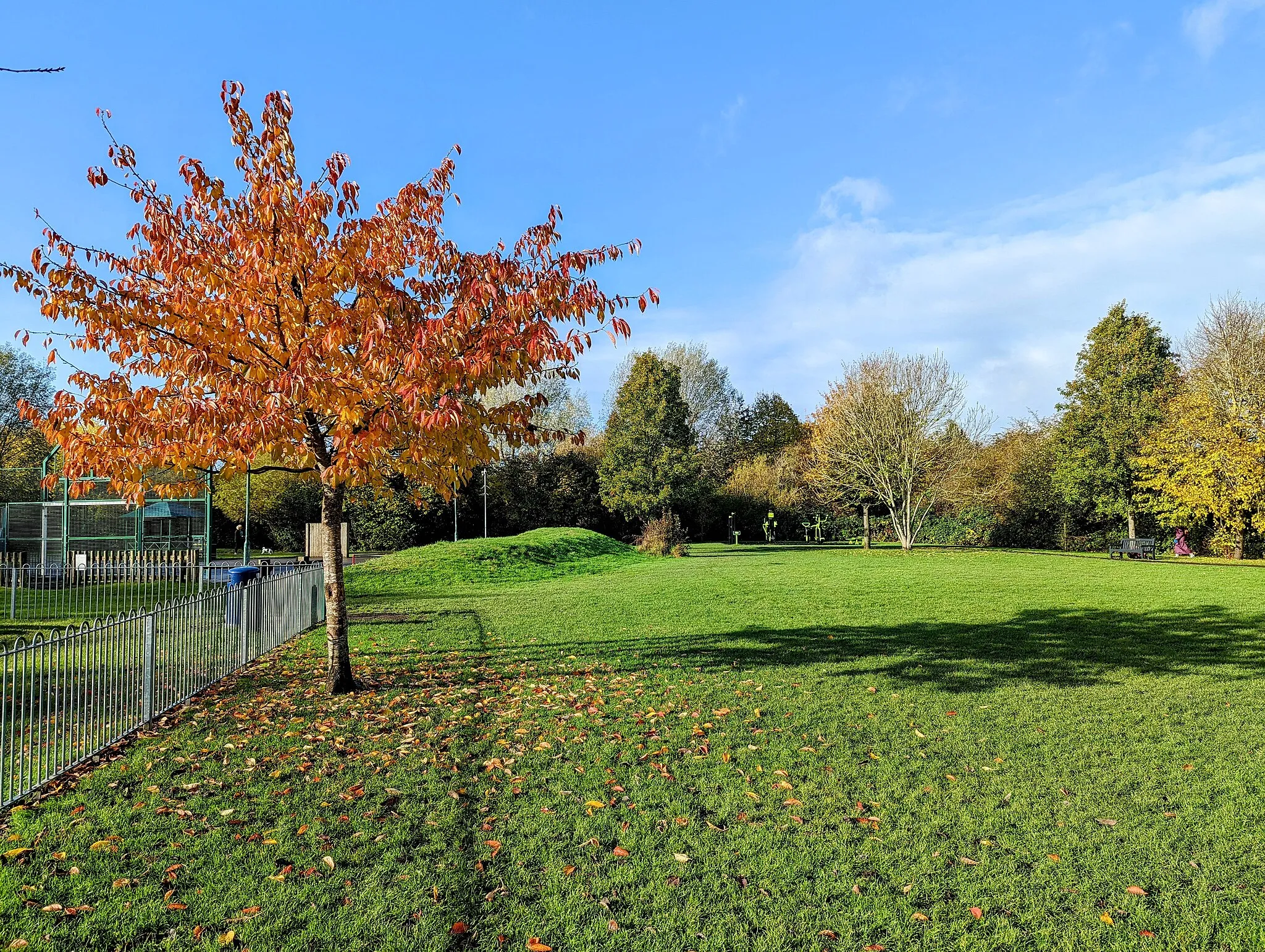 Photo showing: The "Triangle" in Colden Common, Hampshire (November 2021)