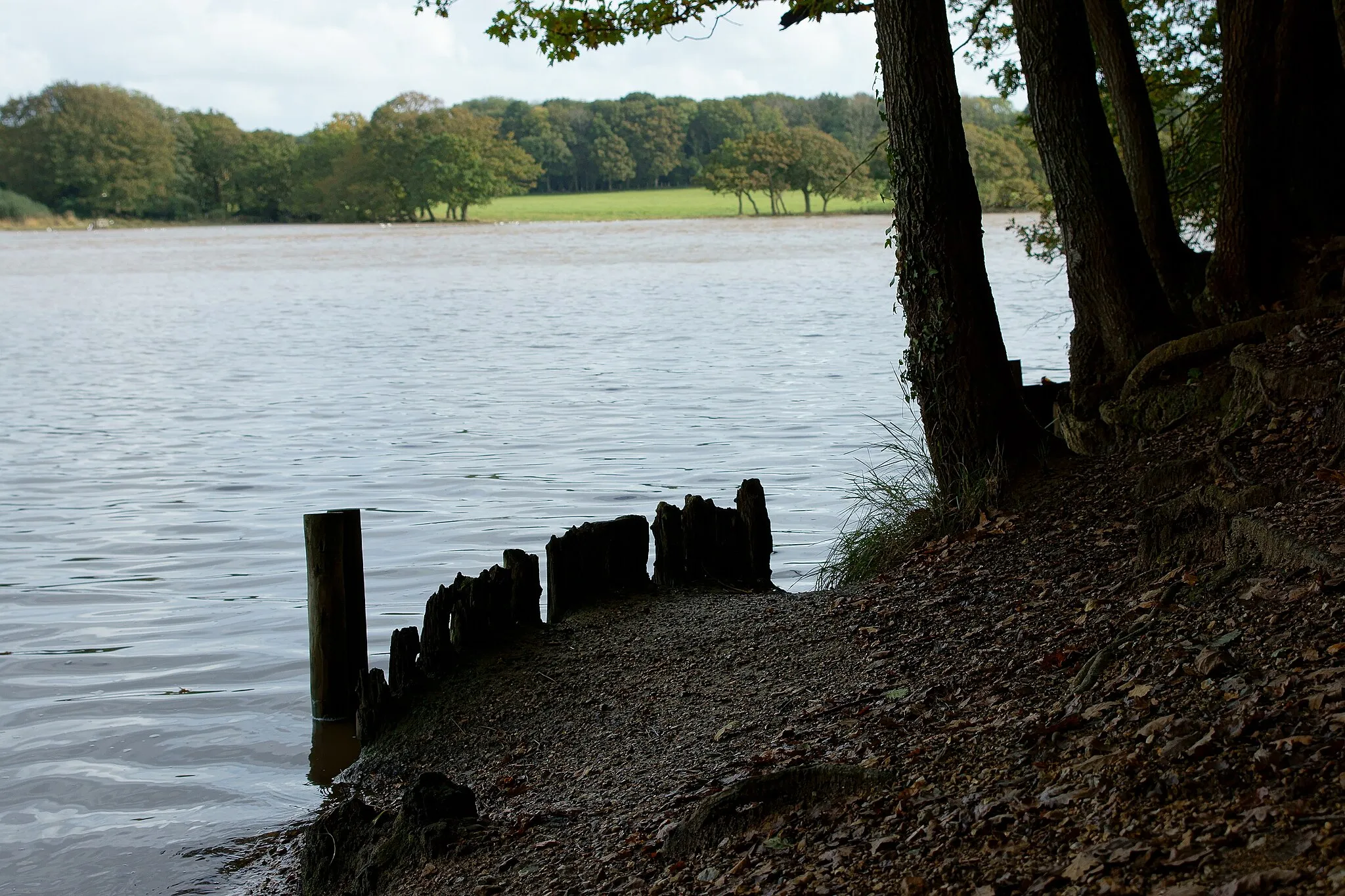 Photo showing: Across the River Hamble