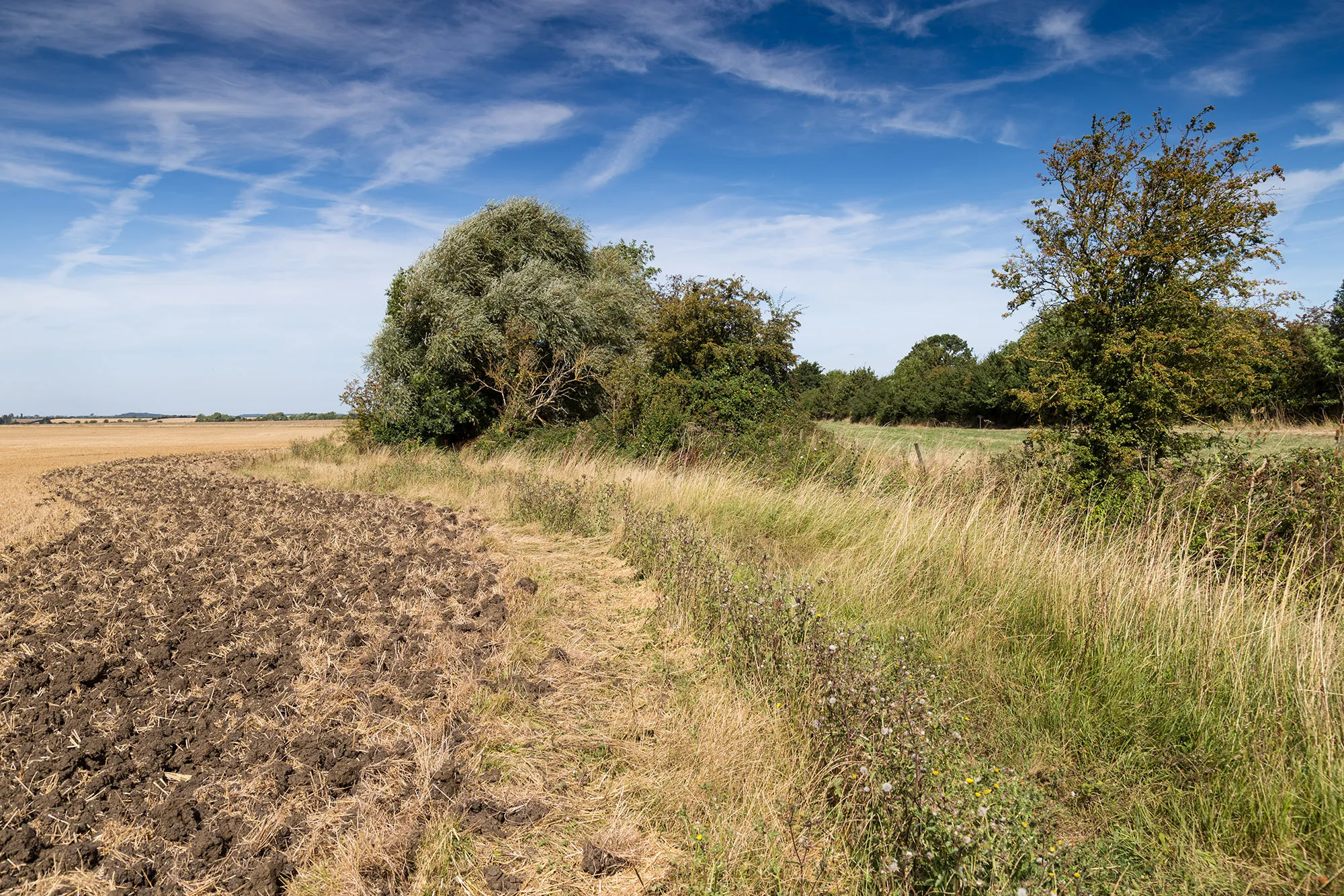 Photo showing: Alternative footpath route