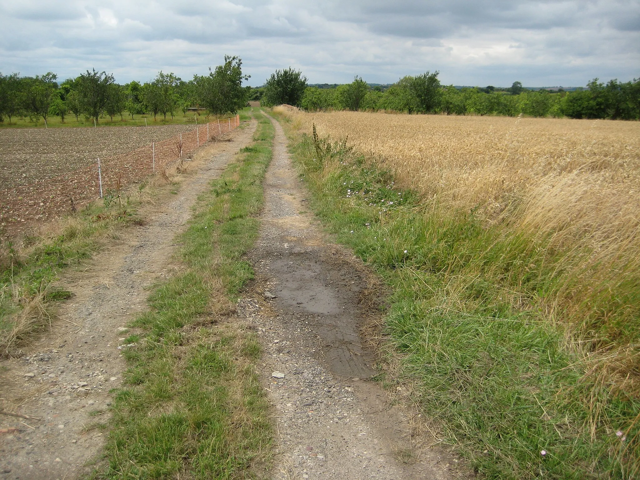 Photo showing: Track on Staple Hill