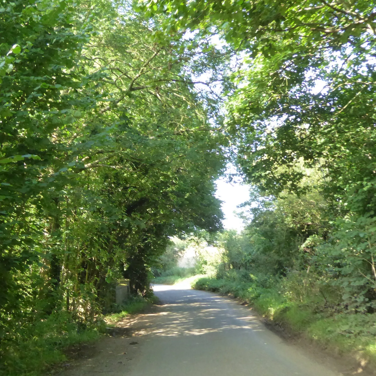 Photo showing: Road north of Preston Capes crossing the Mill Stream