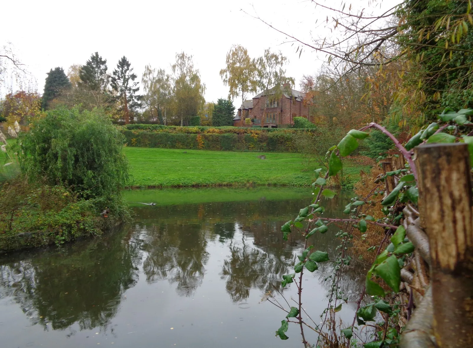 Photo showing: Pond at Inkberrow