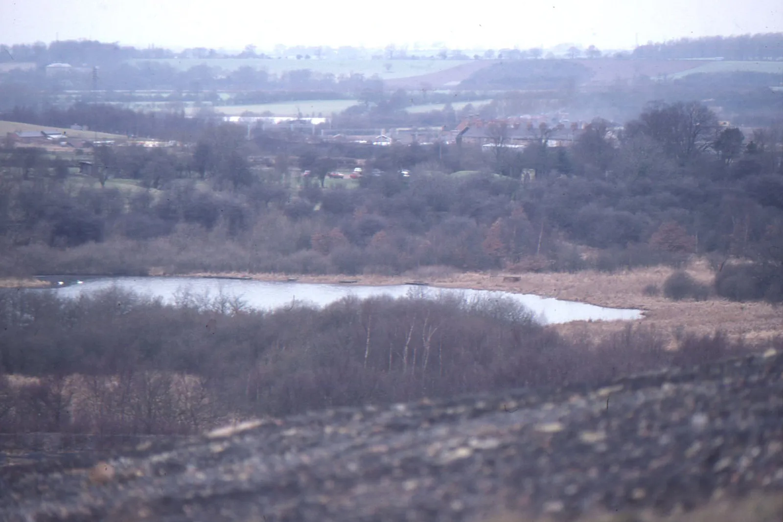 Photo showing: Alvecote Priory from the mound in Pooley Country Park