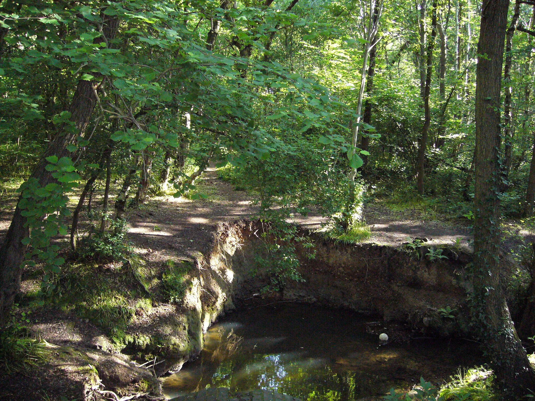 Photo showing: Balaams Wood
