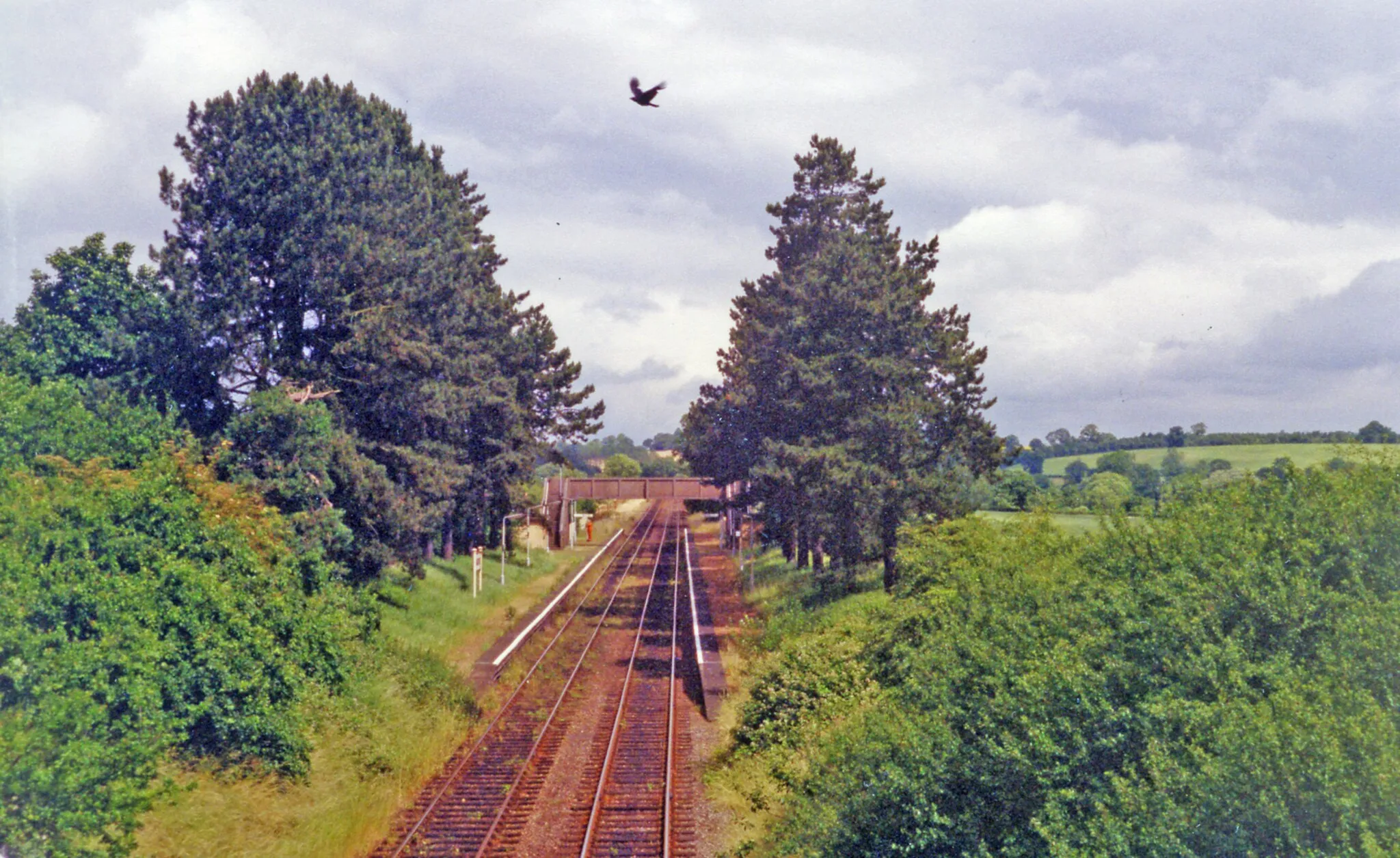Photo showing: Danzey (for Tanworth) station.
View northward, towards Birmingham: ex-GWR Birmingham Snow Hill - Stratford-on-Avon etc. (North Warwickshire) secondary main line.
