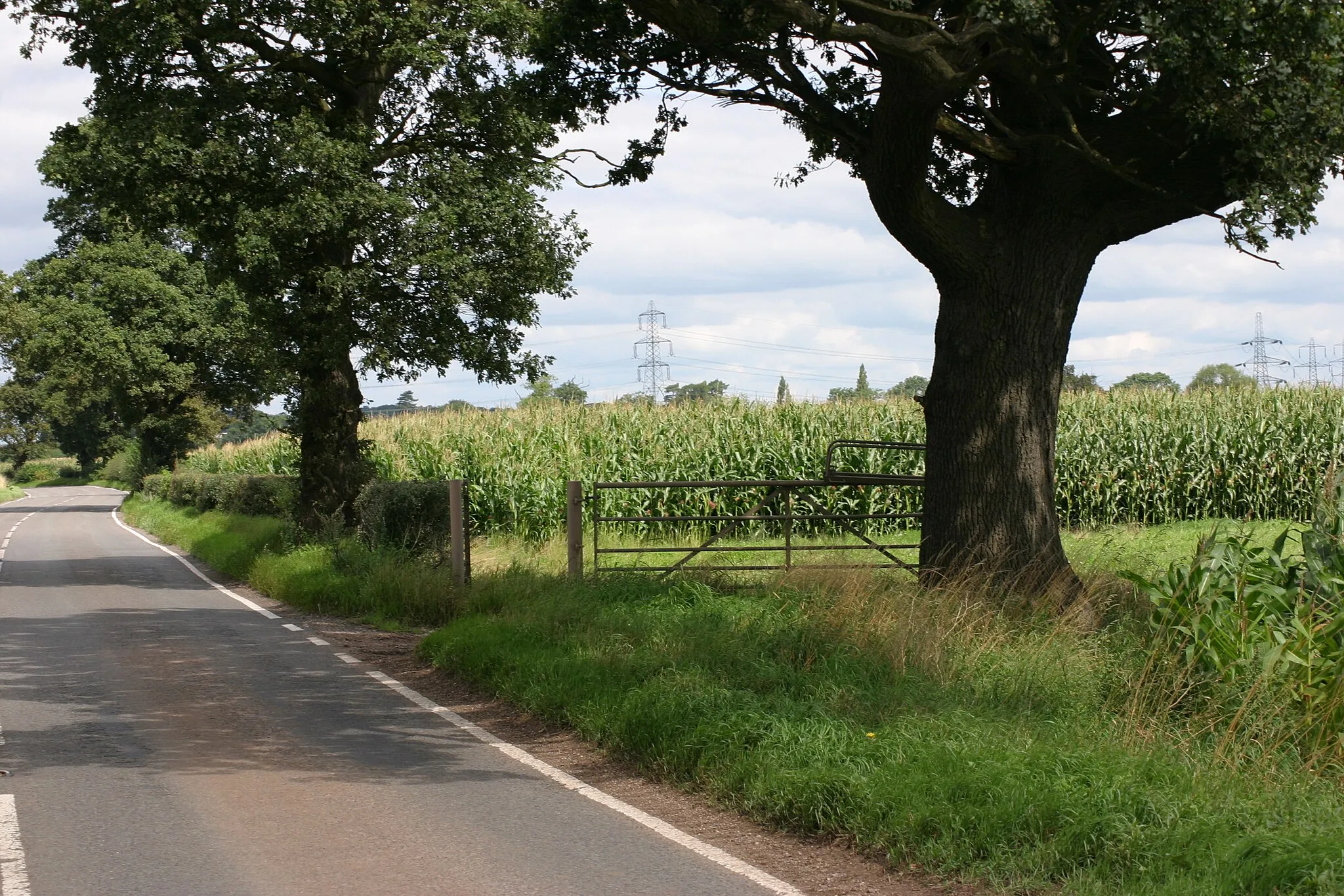 Photo showing: A513 Near Elford  (8)