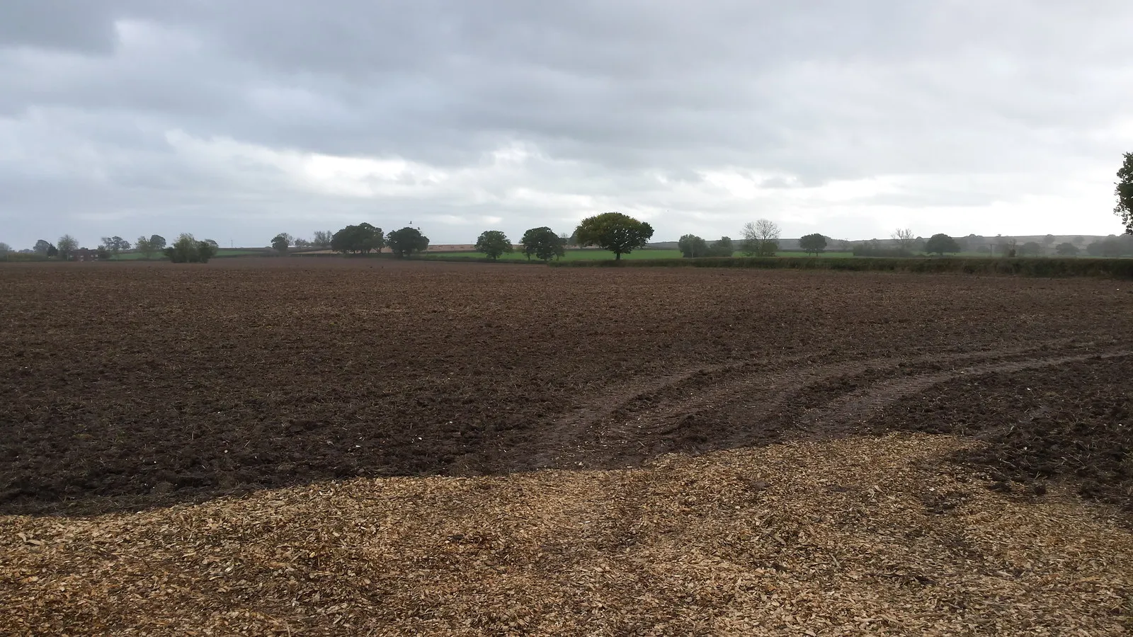 Photo showing: A field all ready for the next crop