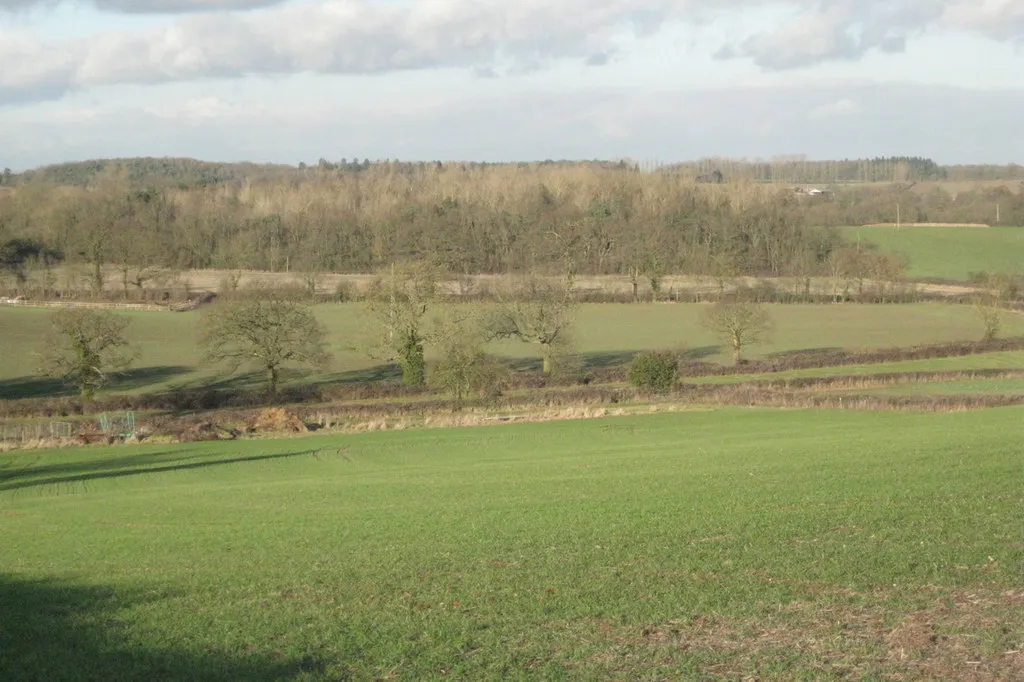 Photo showing: Bottom of a slope, Lowerhouse Farm