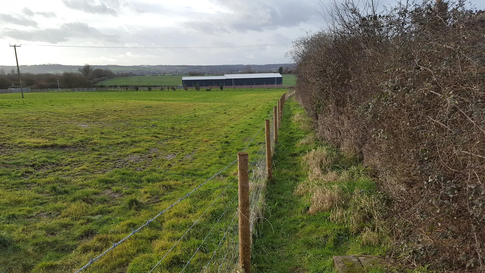 Photo showing: A walk between a hedge and a fence