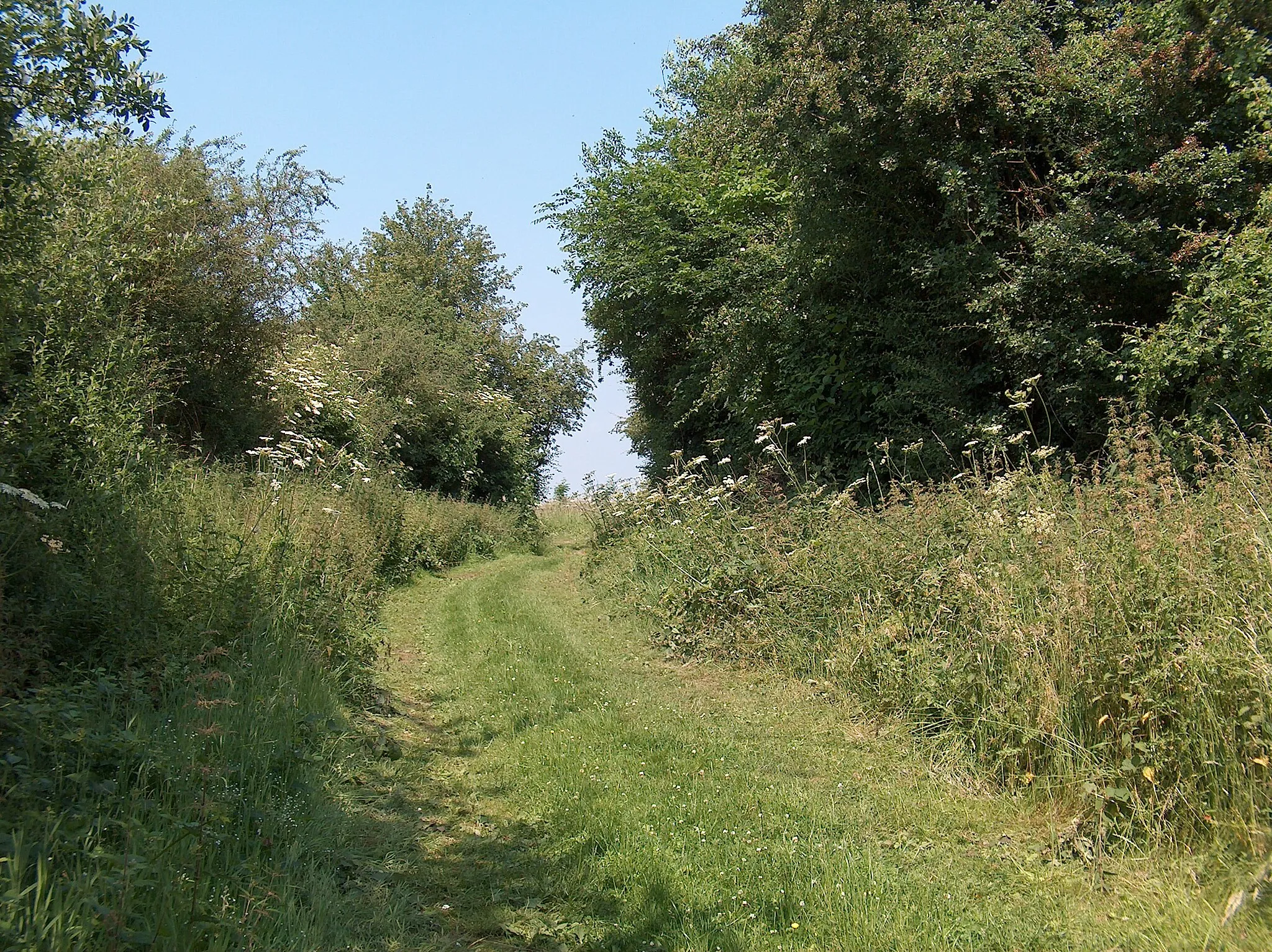 Photo showing: The green lane south of Hollis Farm, Orton-on-the-Hill