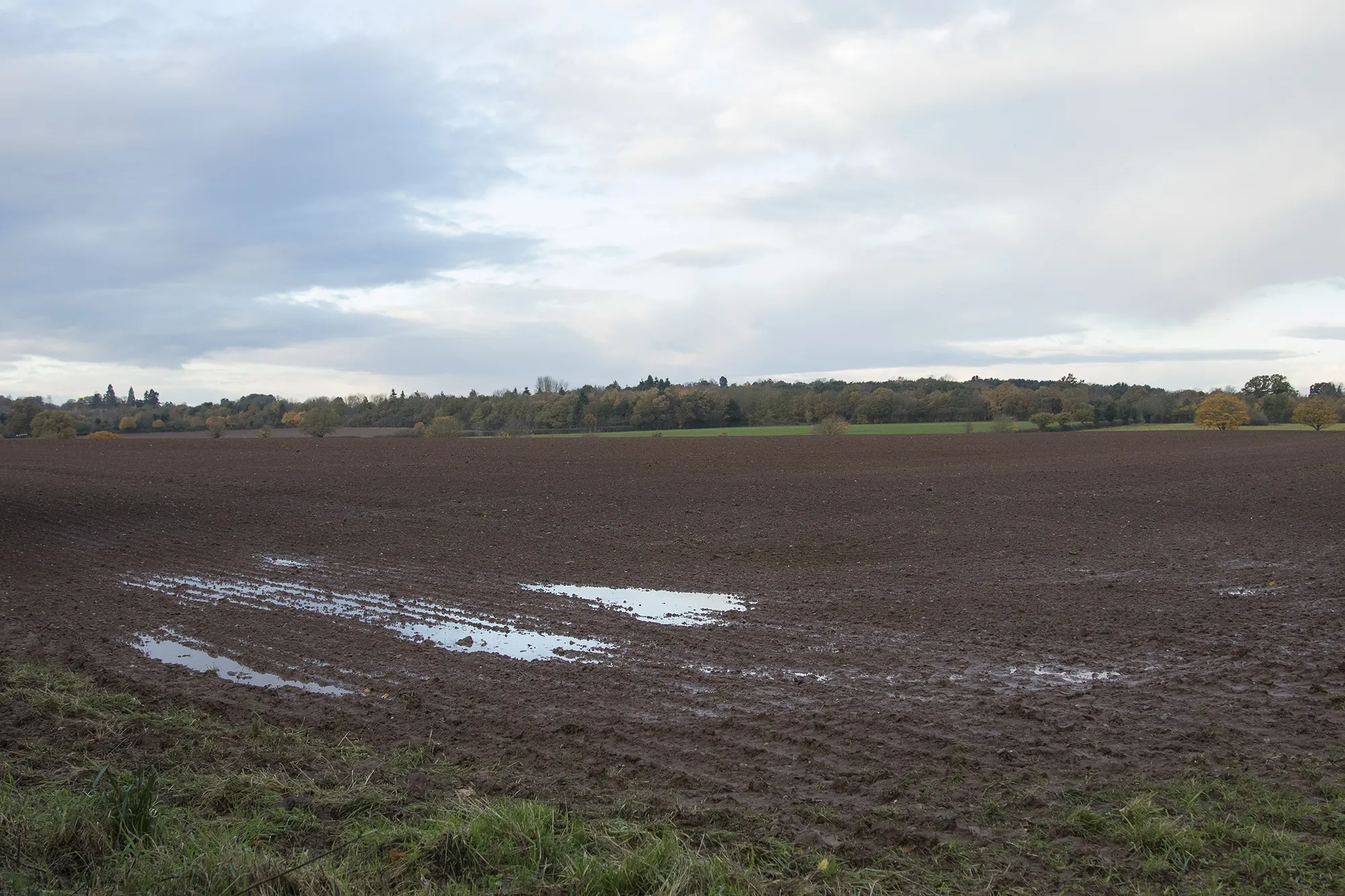 Photo showing: A wet field
