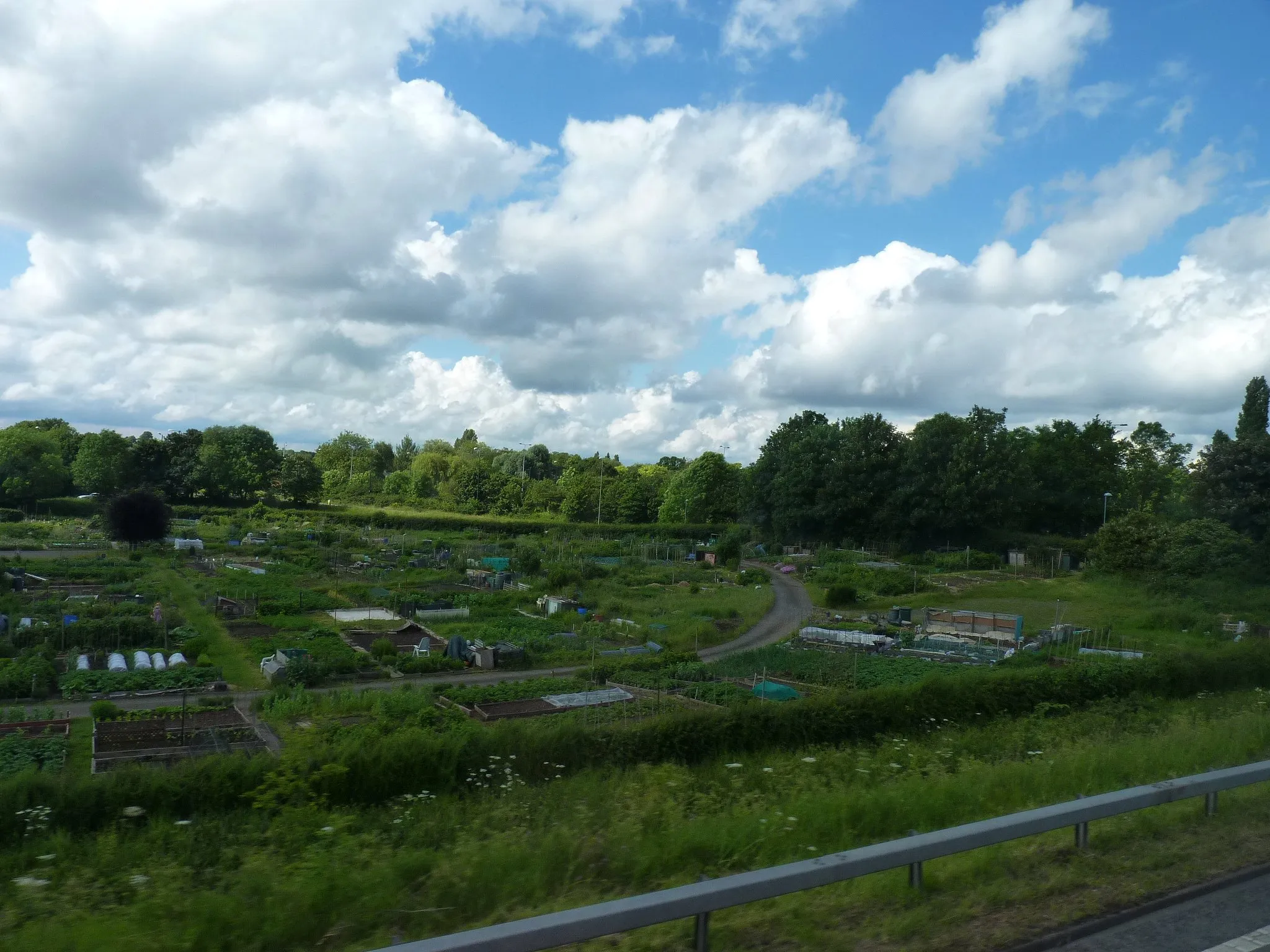 Photo showing: Allotment area