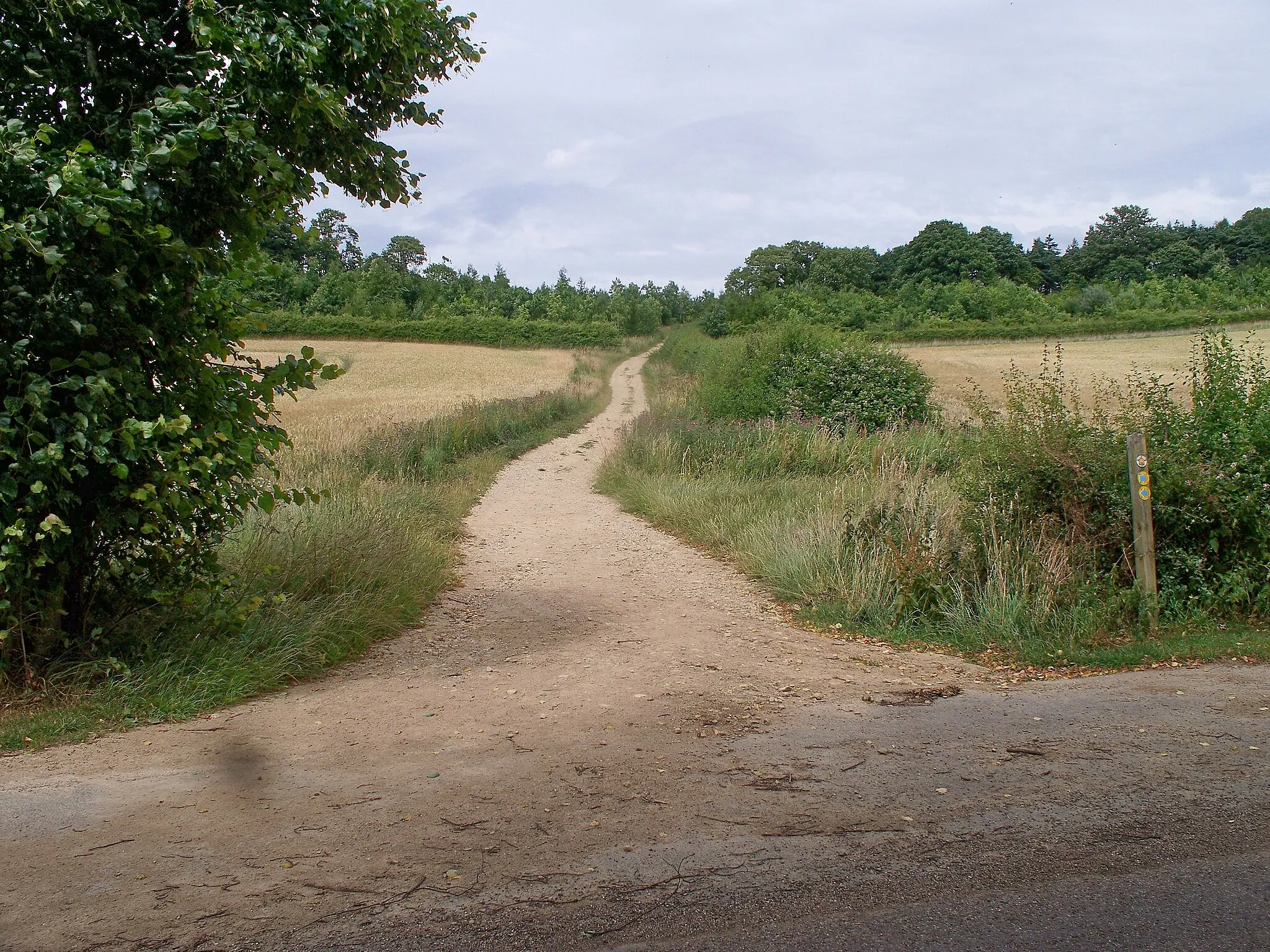Photo showing: Track to Knowlands Hill