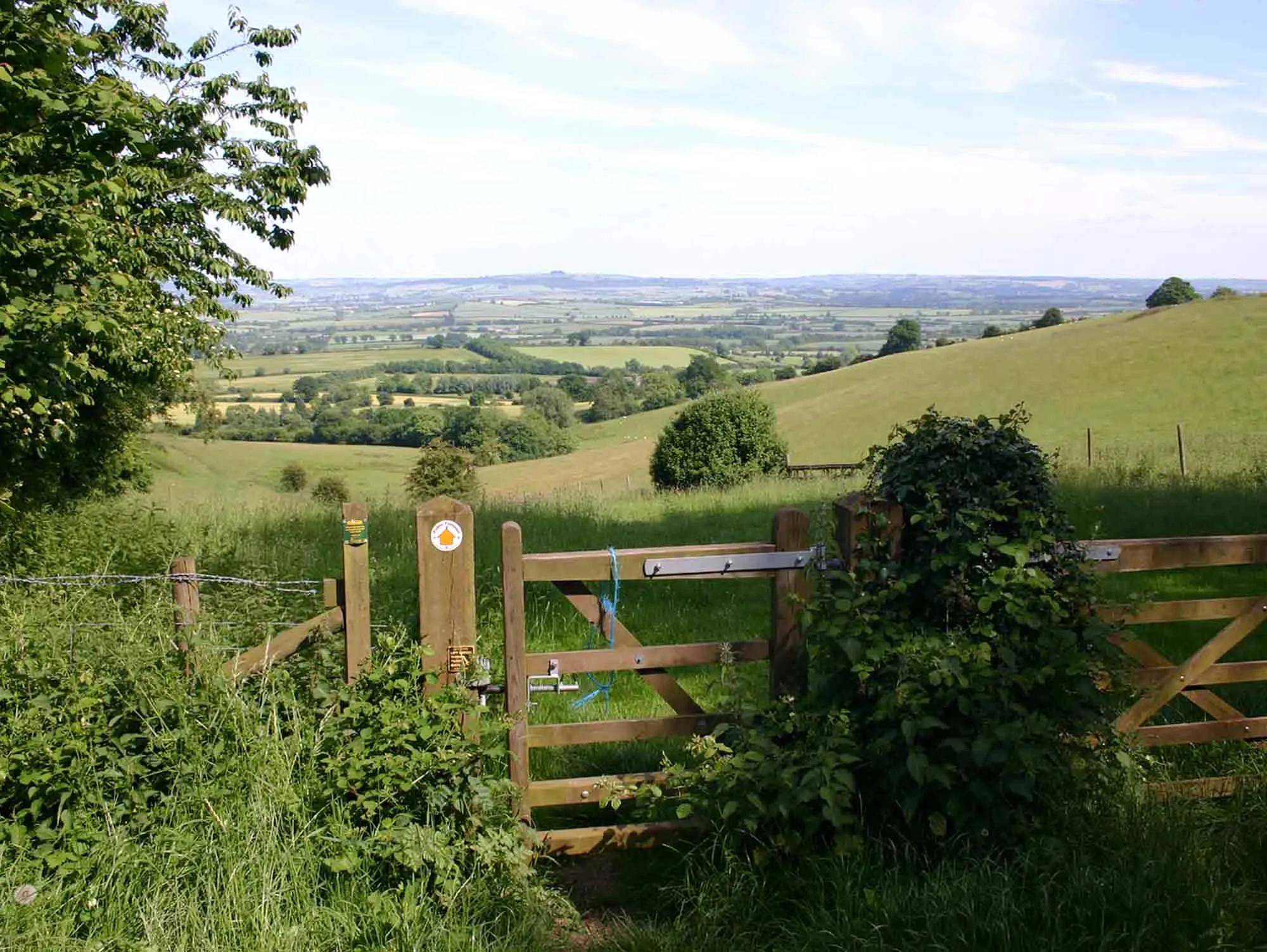 Photo showing: Footpath to Darlingscott and view east