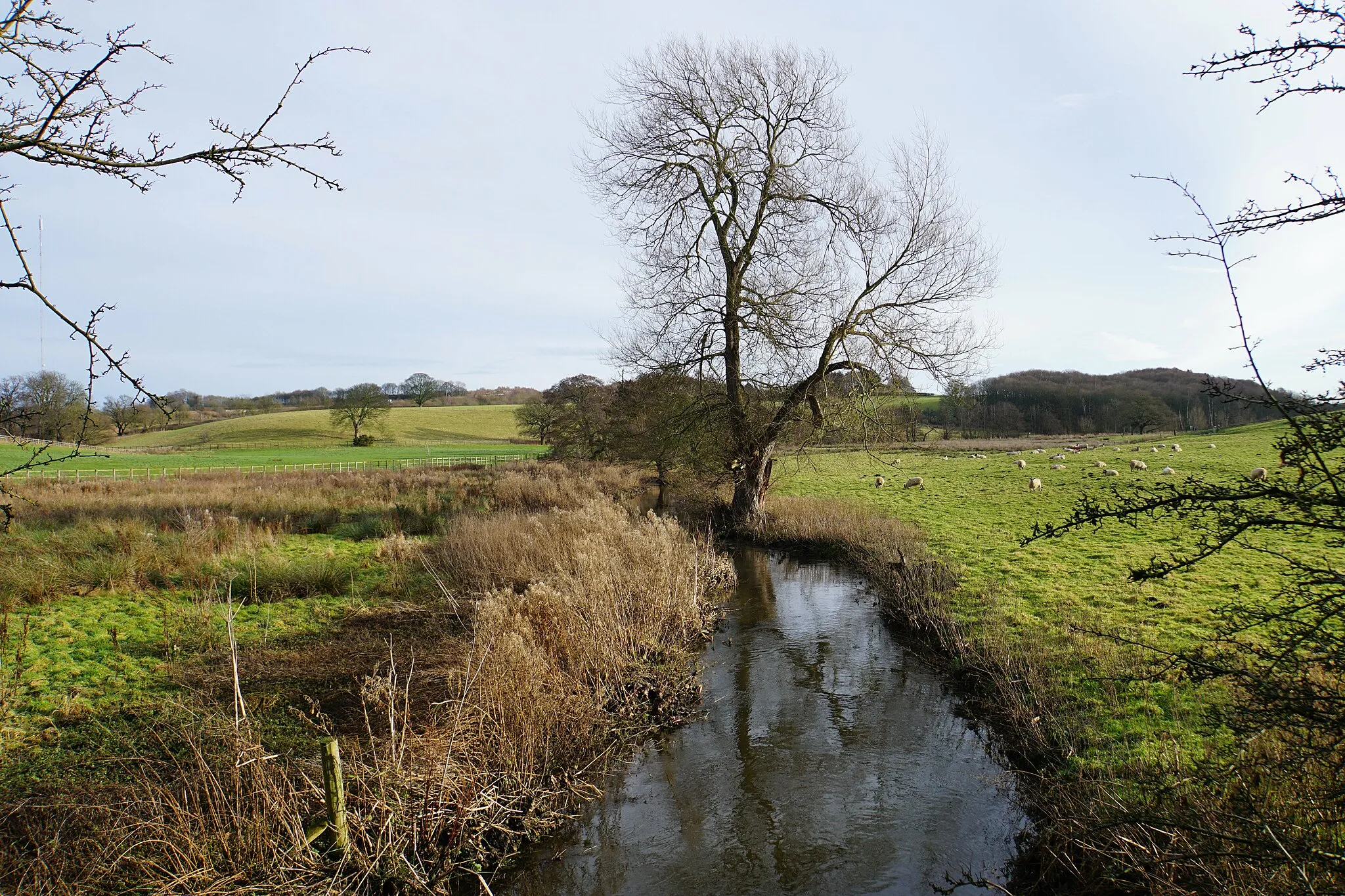 Photo showing: Black Brook