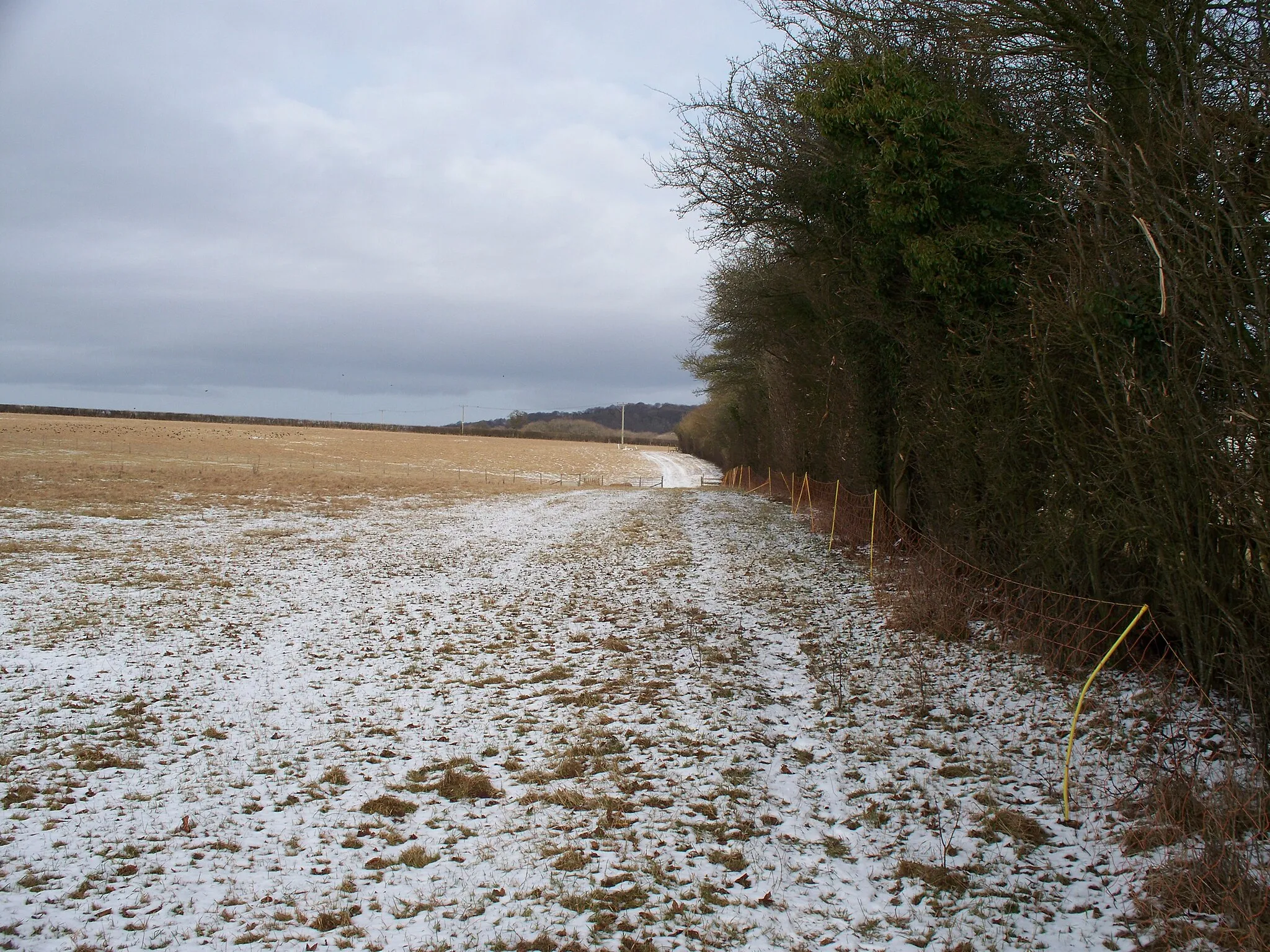 Photo showing: Along the field edge Having crossed the minor road, the footpath continues along the edge of the field.
