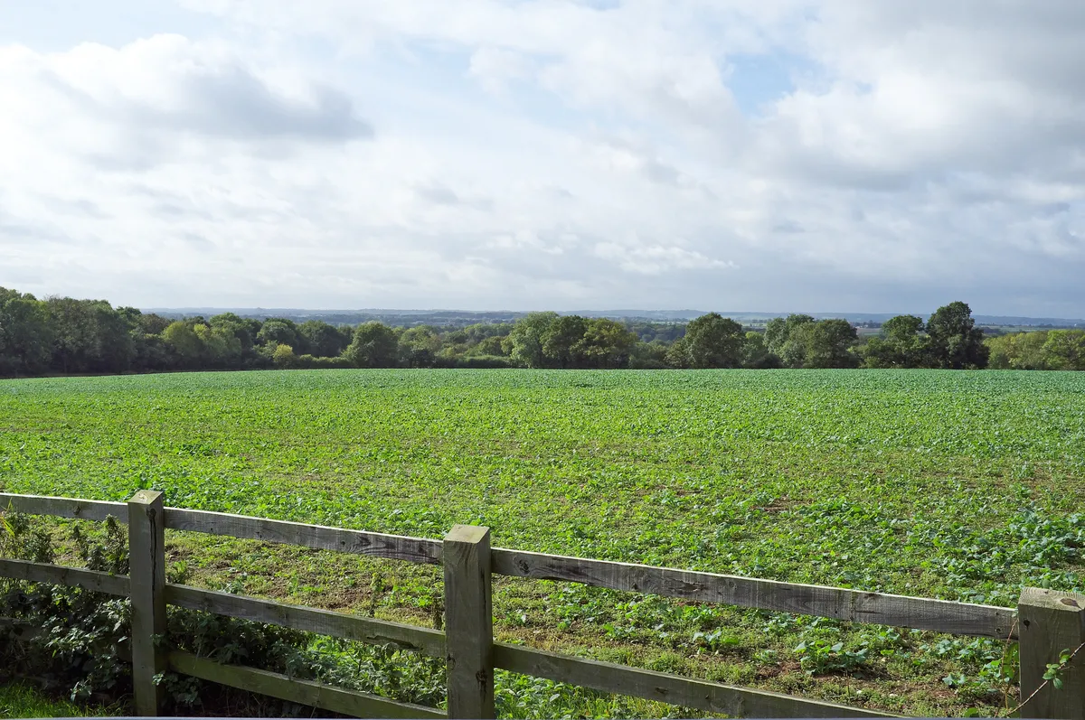 Photo showing: Looking south-west from close to the point where Richard III's standard flies. There are now far more trees in the scene than would have been the case in 1485. From here an approaching army using Fenn Lanes would have been visible. Dadlington windmill would also have been visible: almost certainly the place where Richard III's senior commander the Duke of Norfolk, was slain (according to the Stanley ballad, "Lady Bessy"). Dadlington windmill stood somewhere between Apple Orchard Farm and neighbouring North Farm. One of the fields of North Farm, just north of Apple Orchard Farm, was still called Mill Field on a mid C19th tithe map.