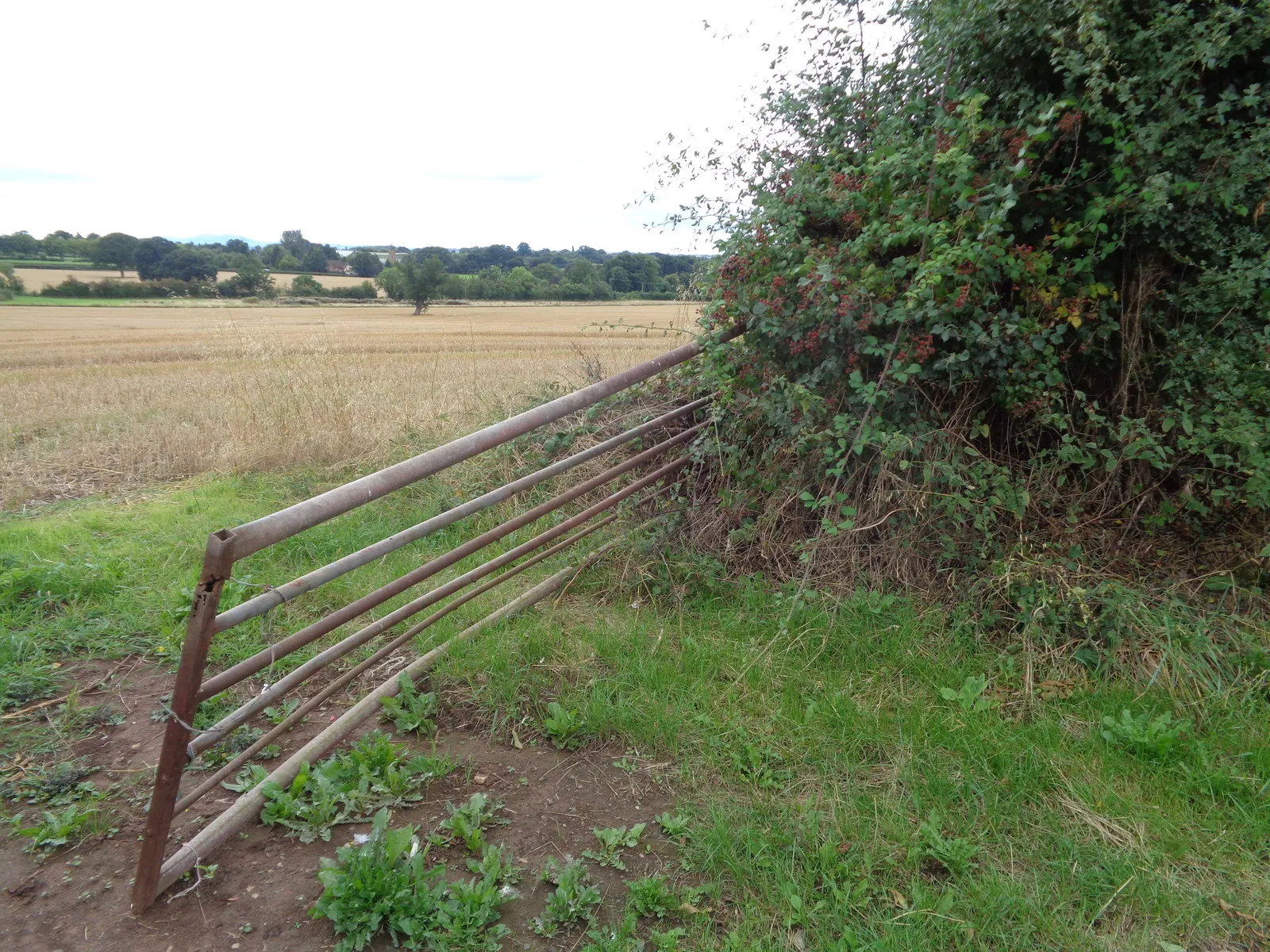 Photo showing: Broken gate to field on Lunnon Lane, Rushock