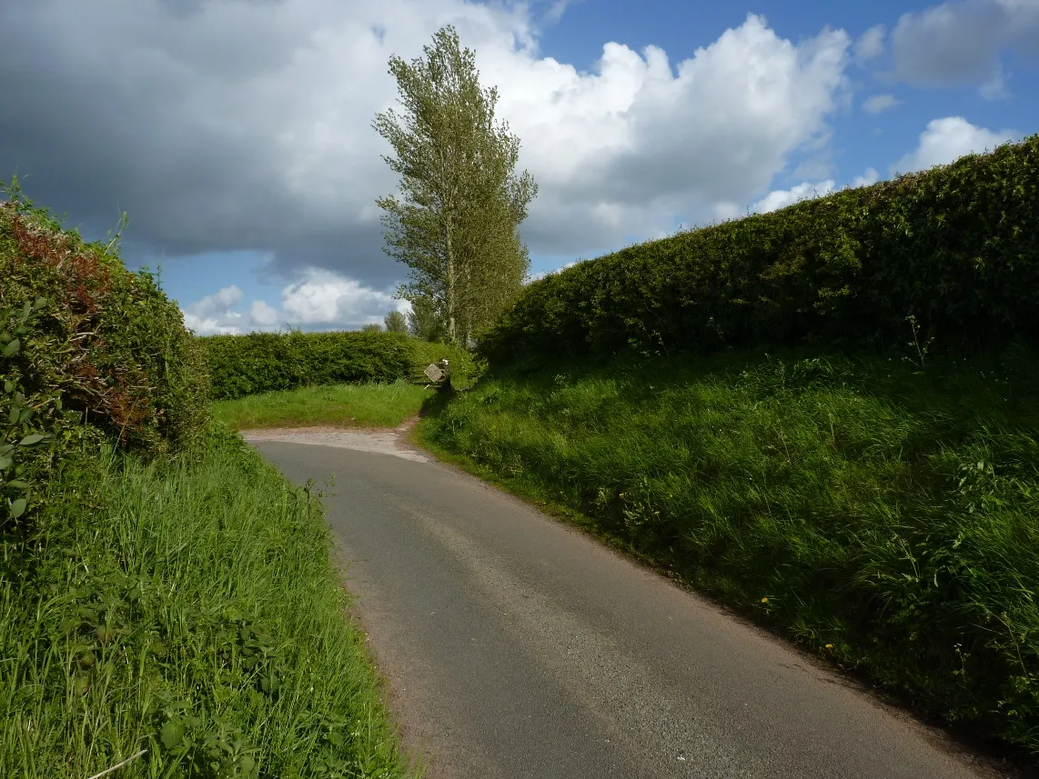 Photo showing: A sharp left, and the start of the bridleway to Wolmore Farm