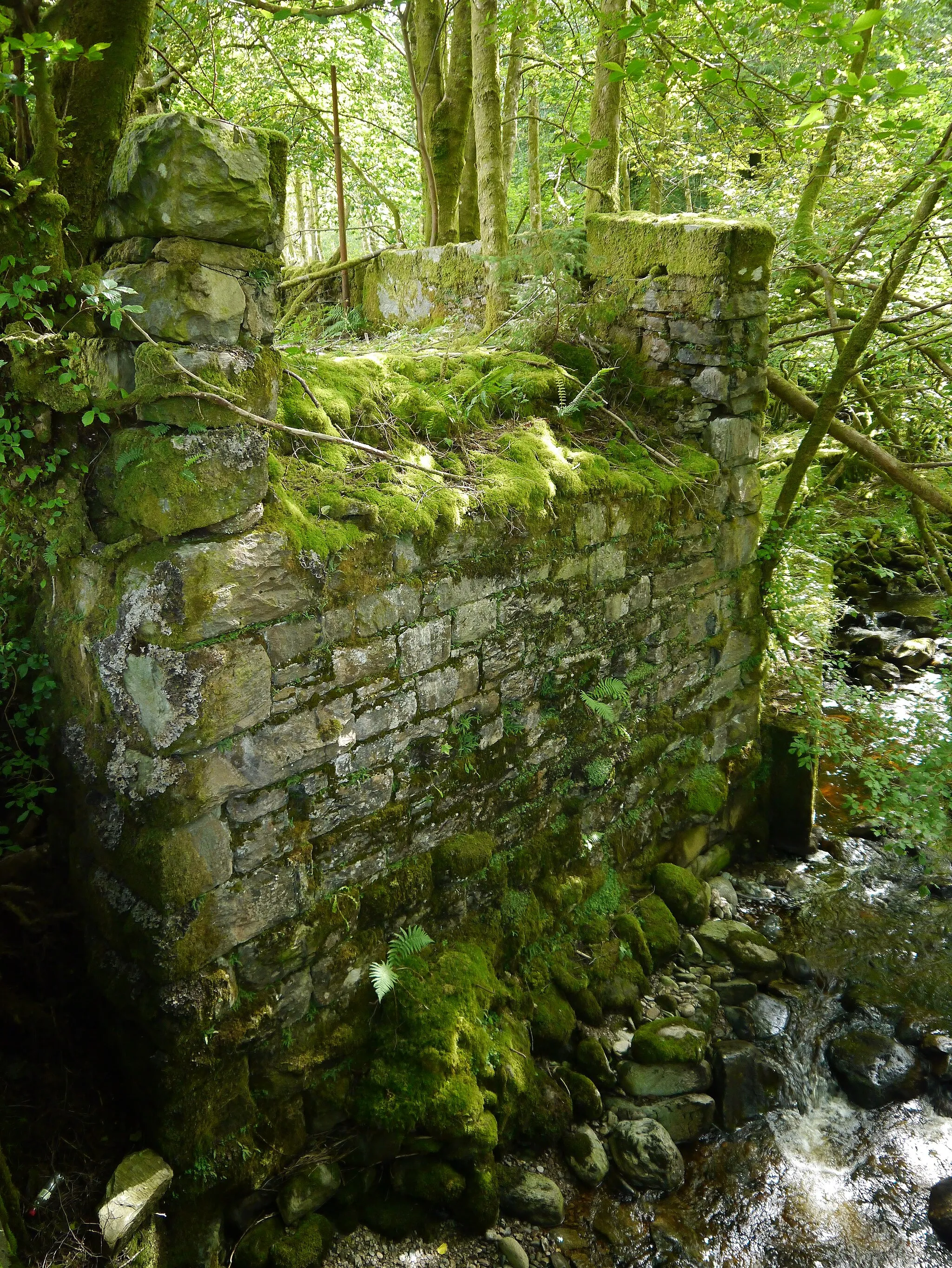 Photo showing: Remains Of An Old Bridge At Drynain - View To The South