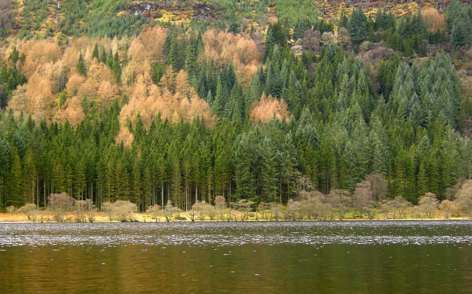 Photo showing: Winter hue from the Argyll area of western Scotland.