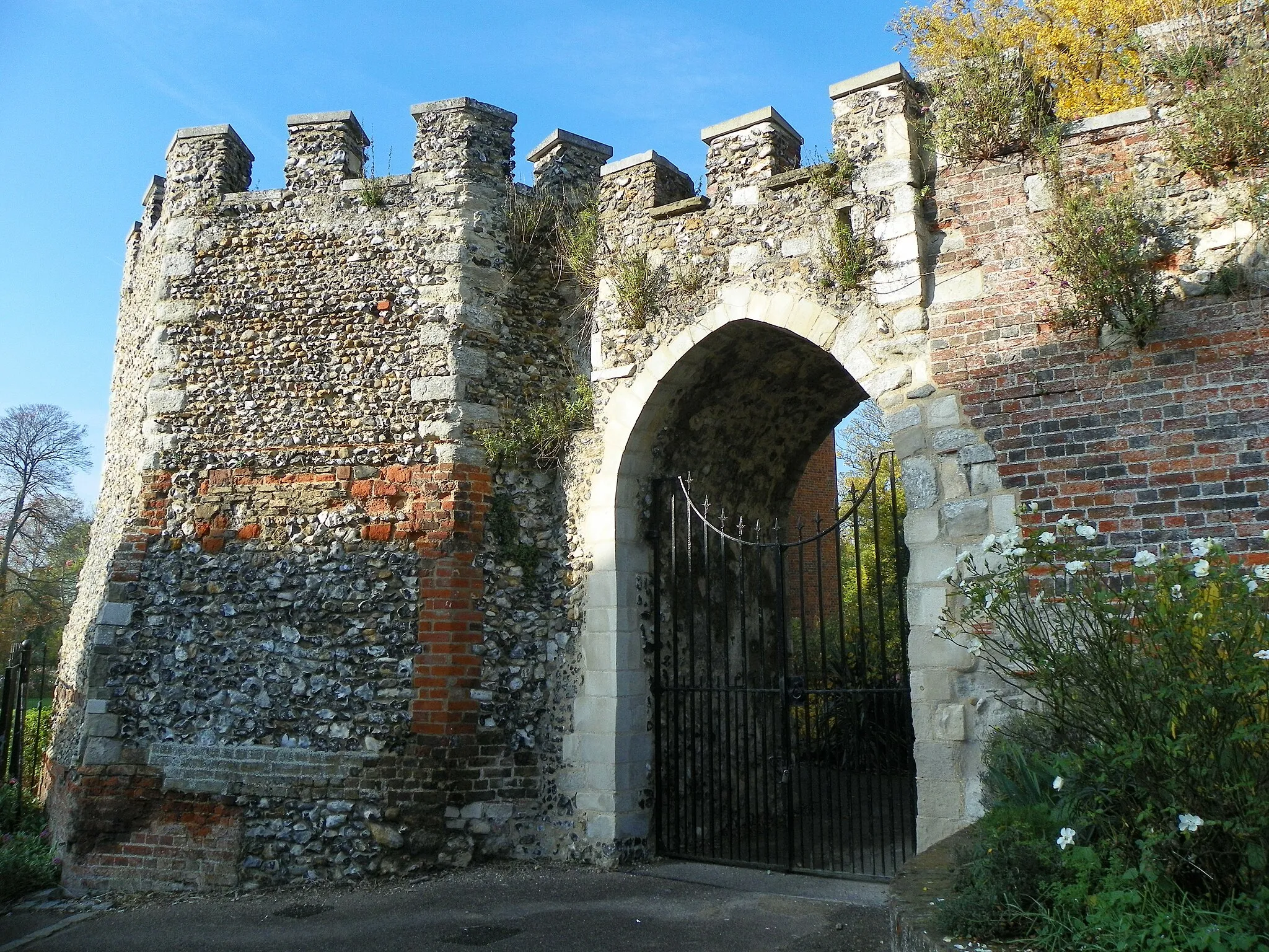 Photo showing: South east range of bailey walls at Hertford Castle, Hertford, Hertfordshire (Grade II*). 31 October 2015.

To see my collections, go here.