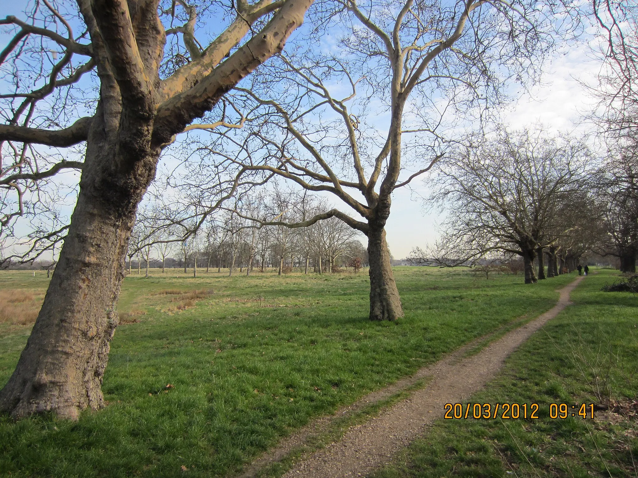 Photo showing: Wanstead Flats at Forest Gate