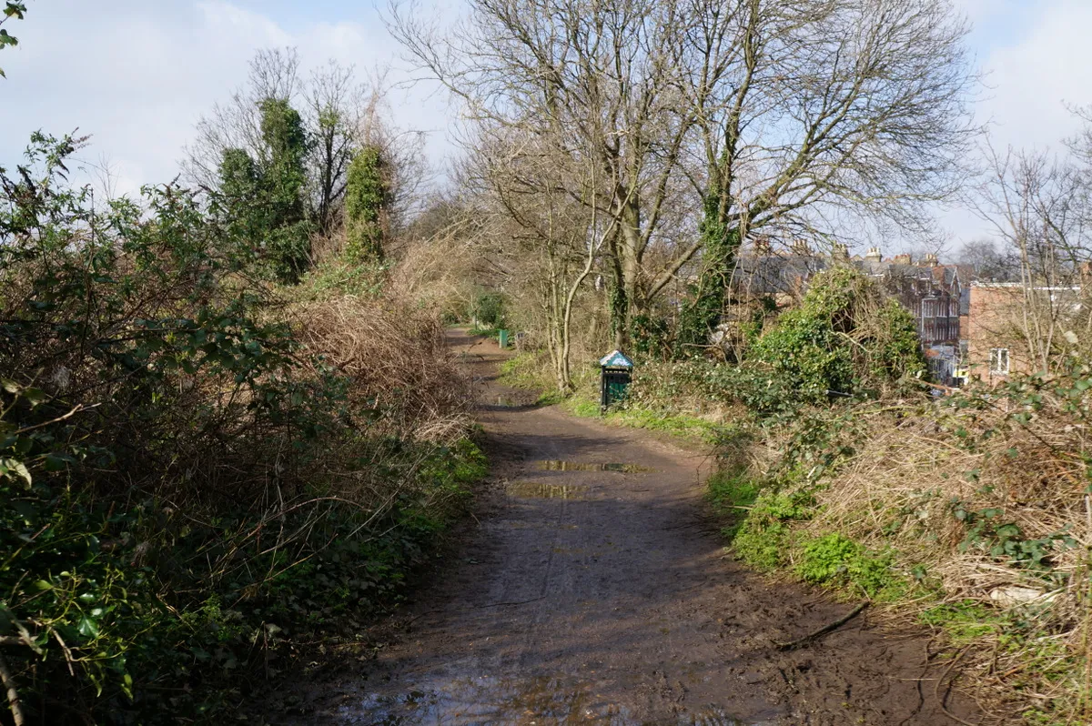 Photo showing: Capital Ring towards Highgate