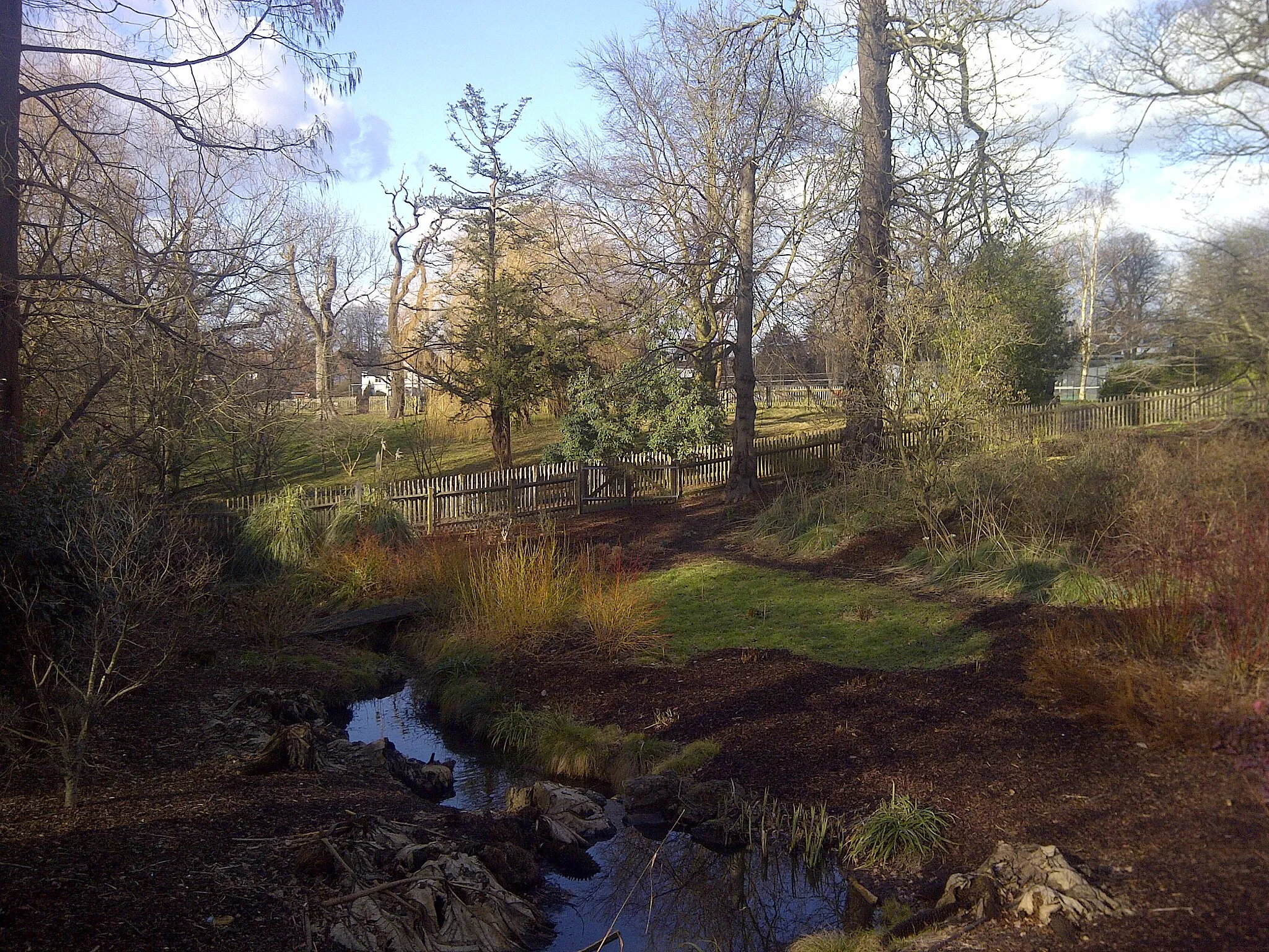 Photo showing: Water Garden in Golders Hill Park