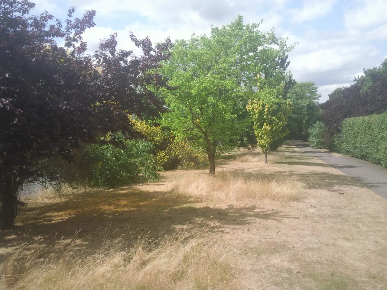 Photo showing: Russell Park, Bexleyheath