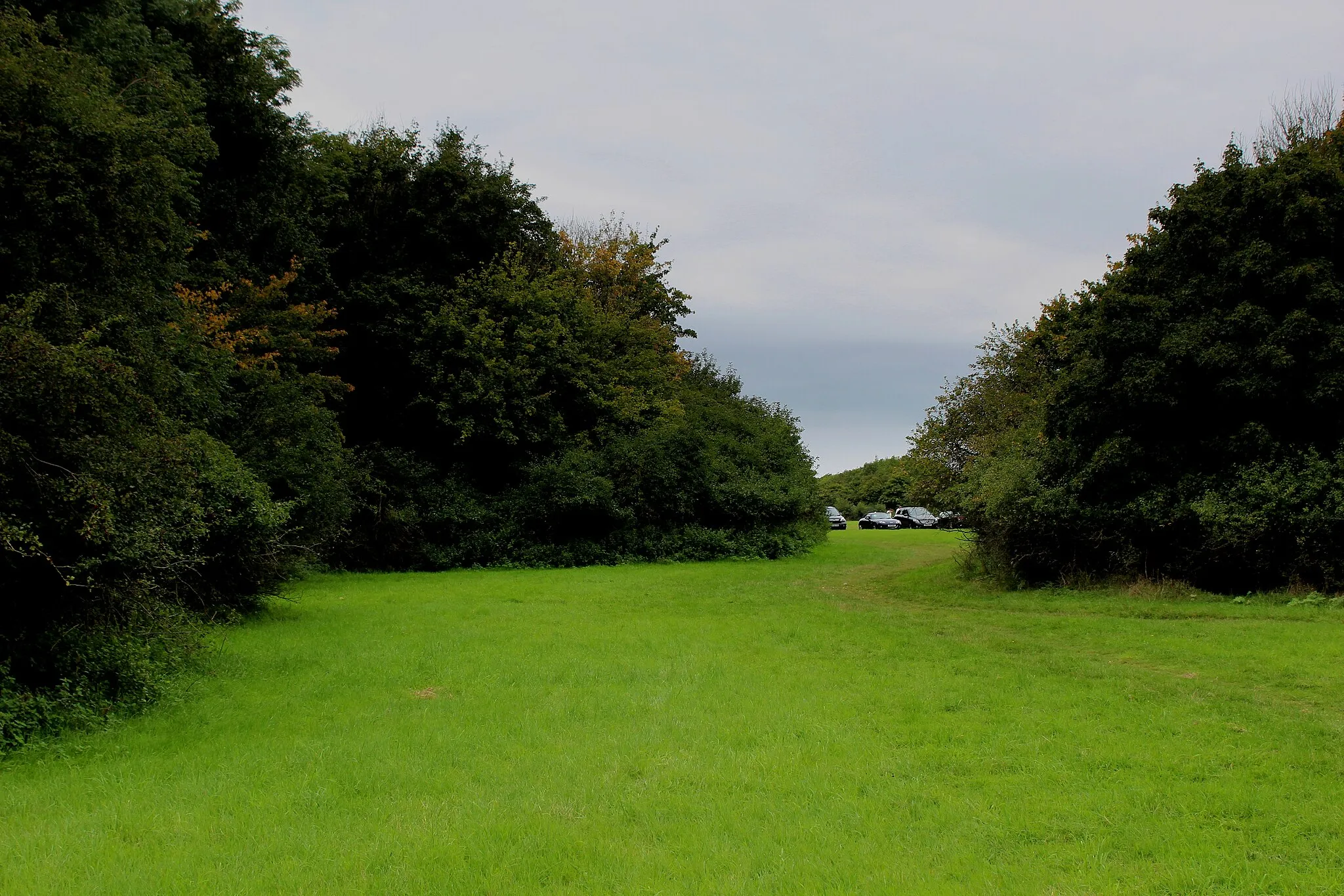 Photo showing: Above the M25 on Bell Common