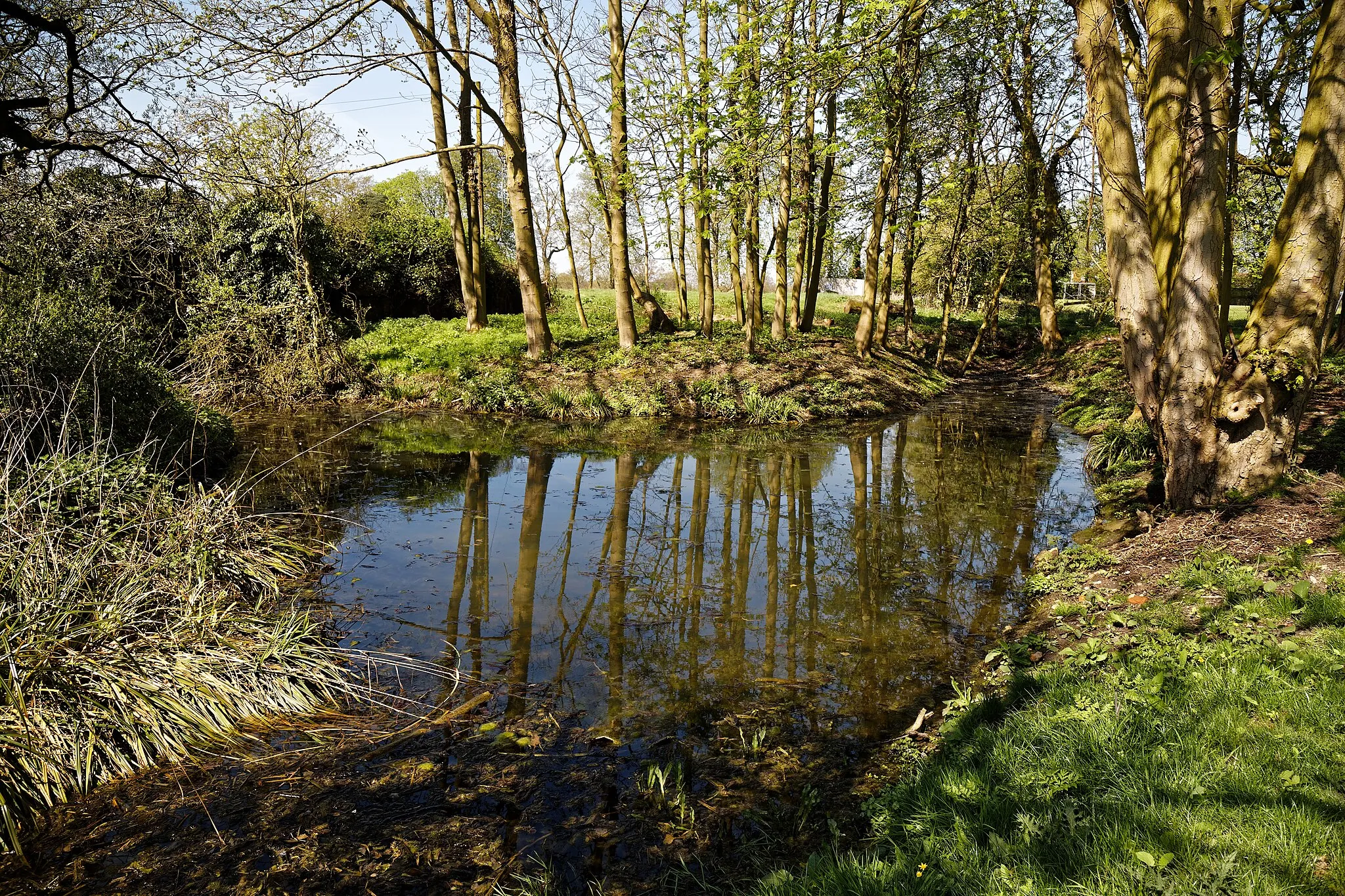 Photo showing: Roadside pond on Fitzjohn's Lane, Great Canfield, in Essex, England. Camera: Canon EOS 6D Mark II with Canon EF 24-105mm F4L IS USM lens. Software: RAW file lens-corrected, optimized and downsized with DxO PhotoLab, Viewpoint 3, and Adobe Photoshop CS2.