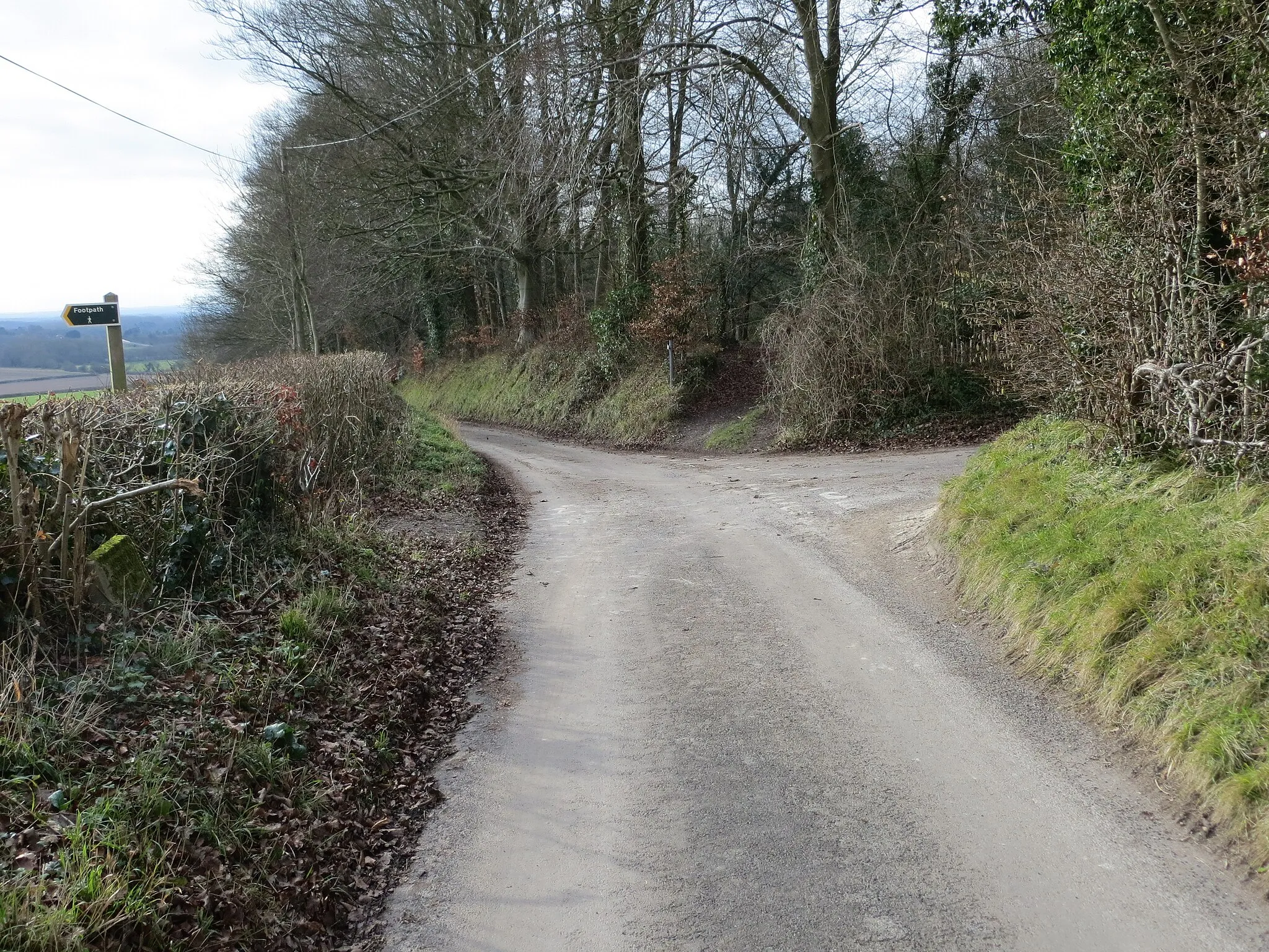 Photo showing: Gold Hill at Westwell Downs