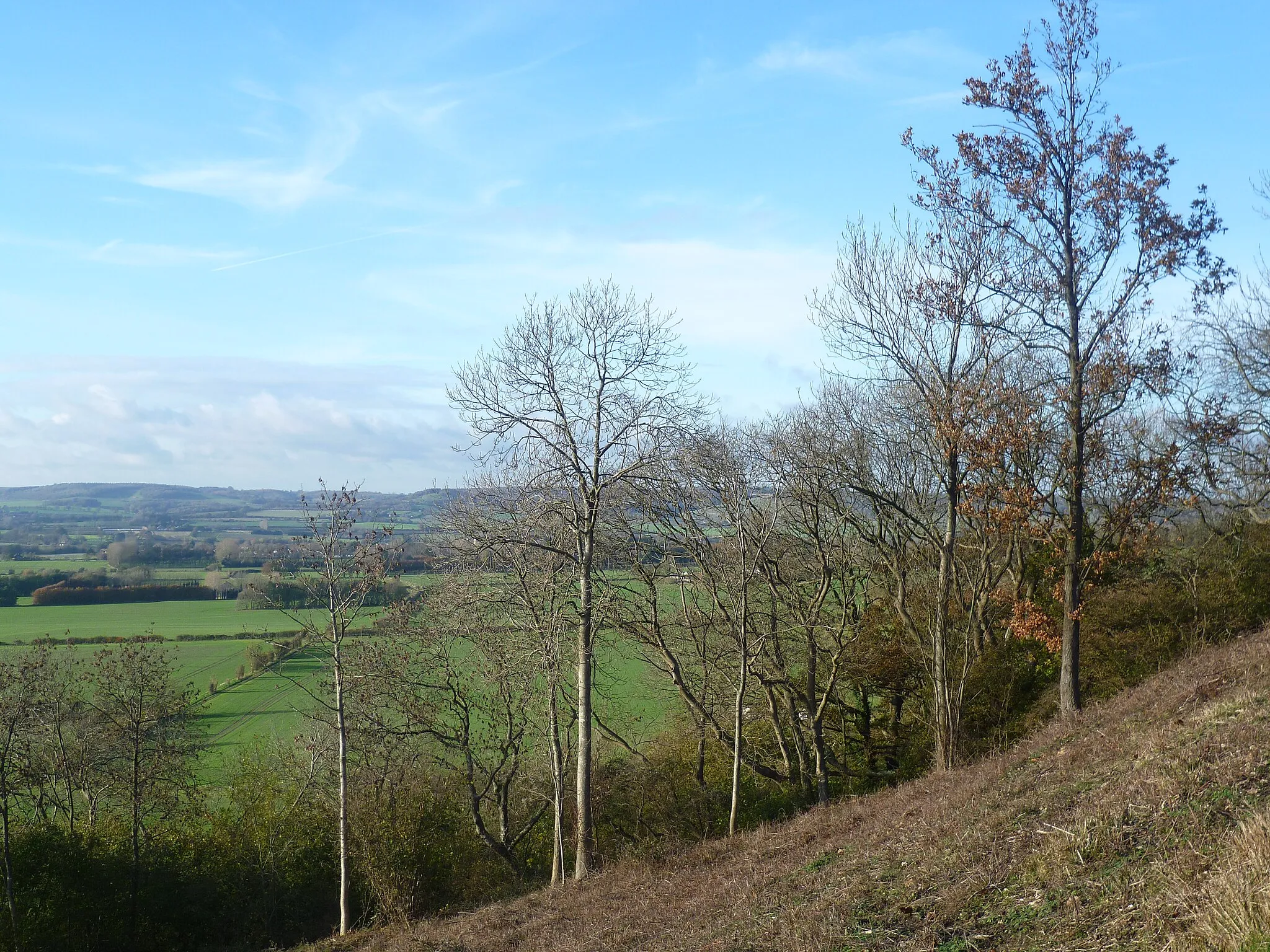 Photo showing: On Wye Downs