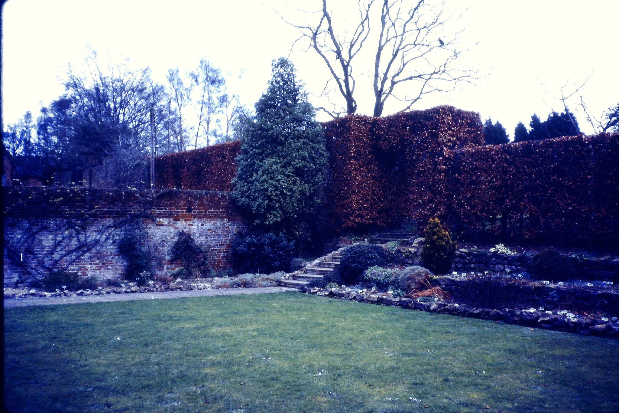 Photo showing: 0519 - WYE WITHERSDANE FORMAL GARDENS BOX HEDGE STEPS