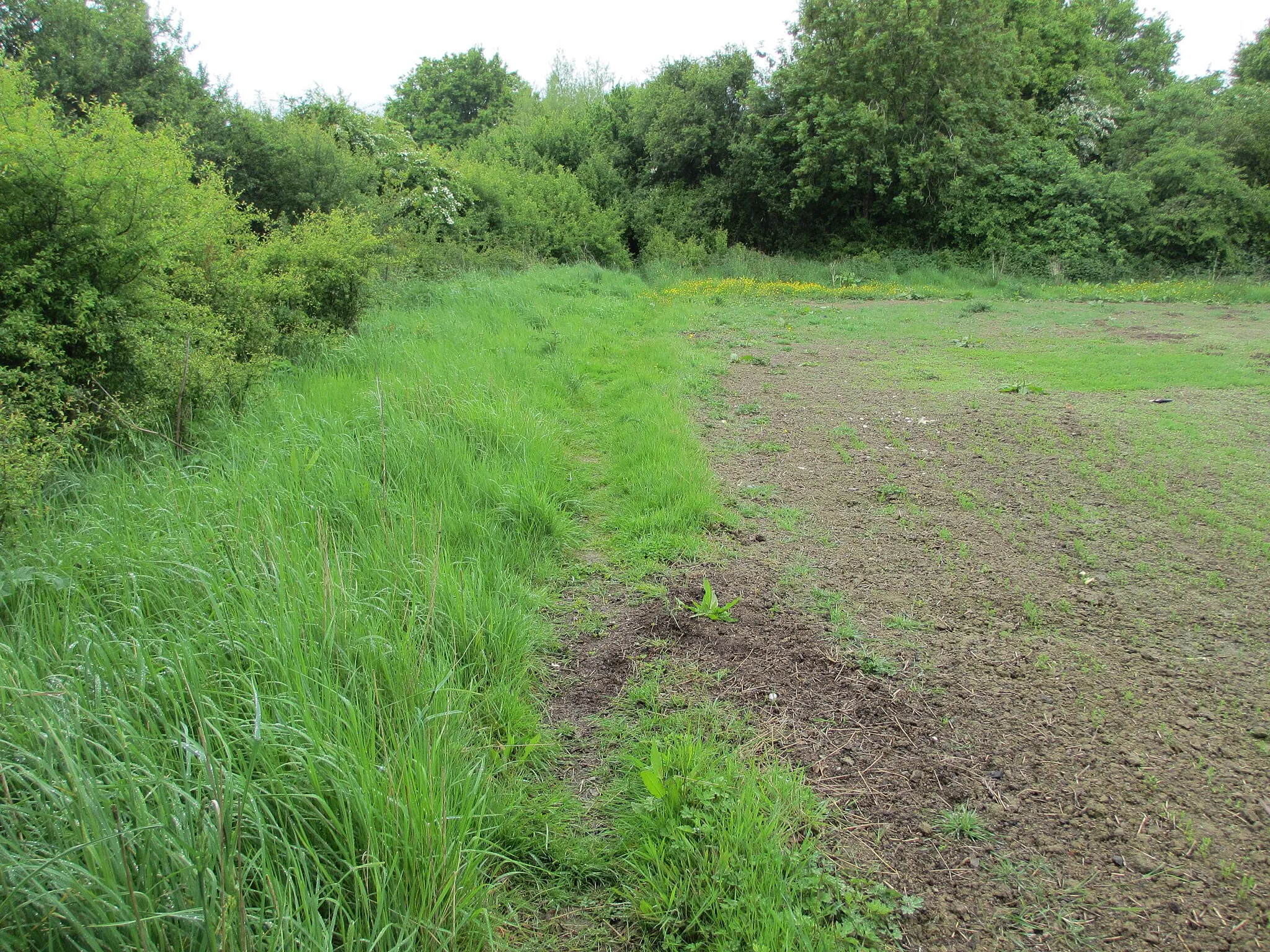 Photo showing: Approaching access land at Blindley Heath