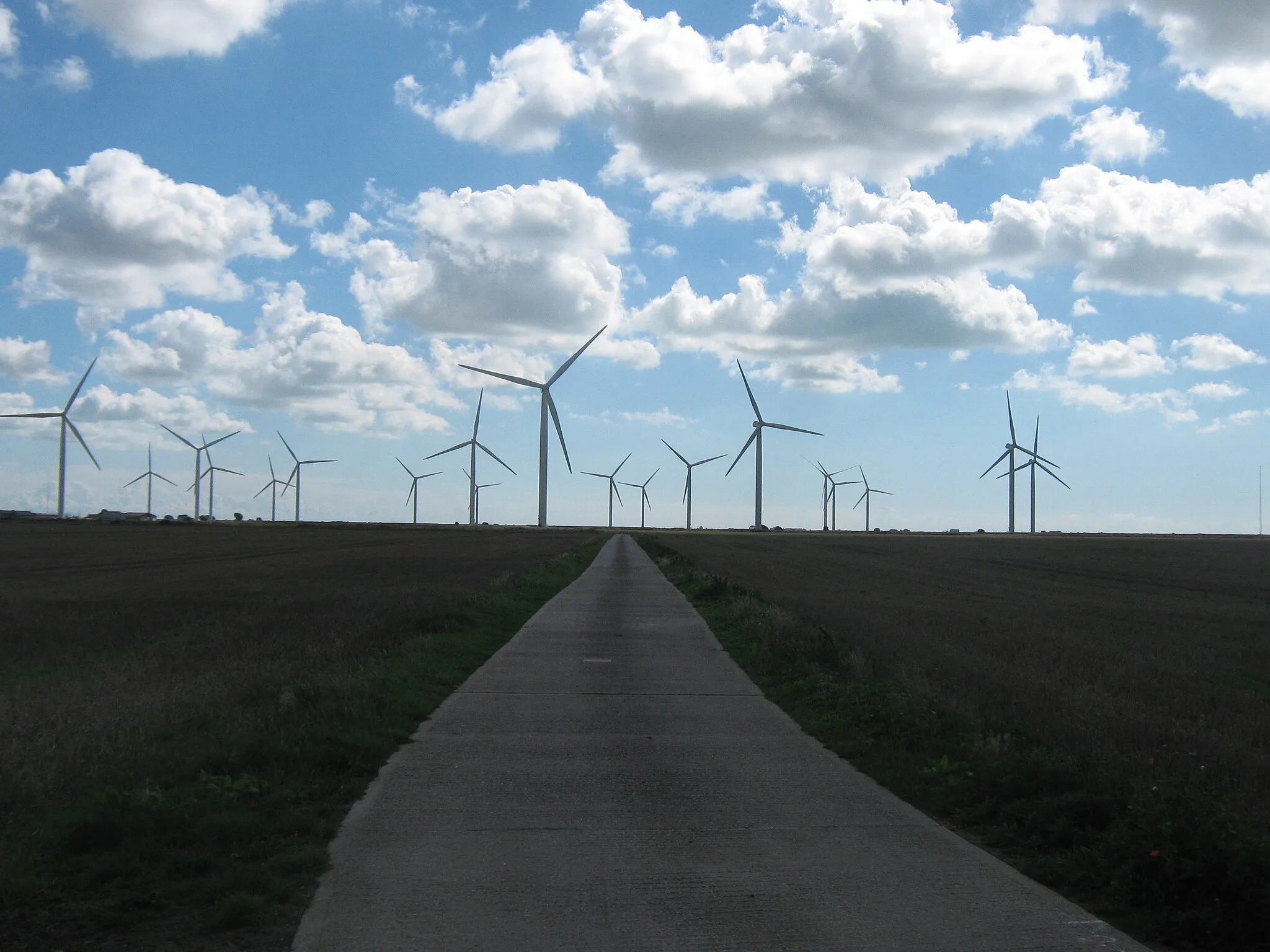 Photo showing: Access road to Little Cheyne Court Farm