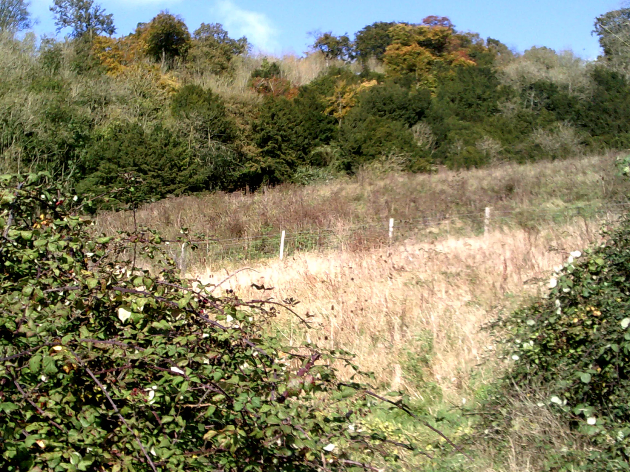 Photo showing: Autumn colours off the North Downs Way