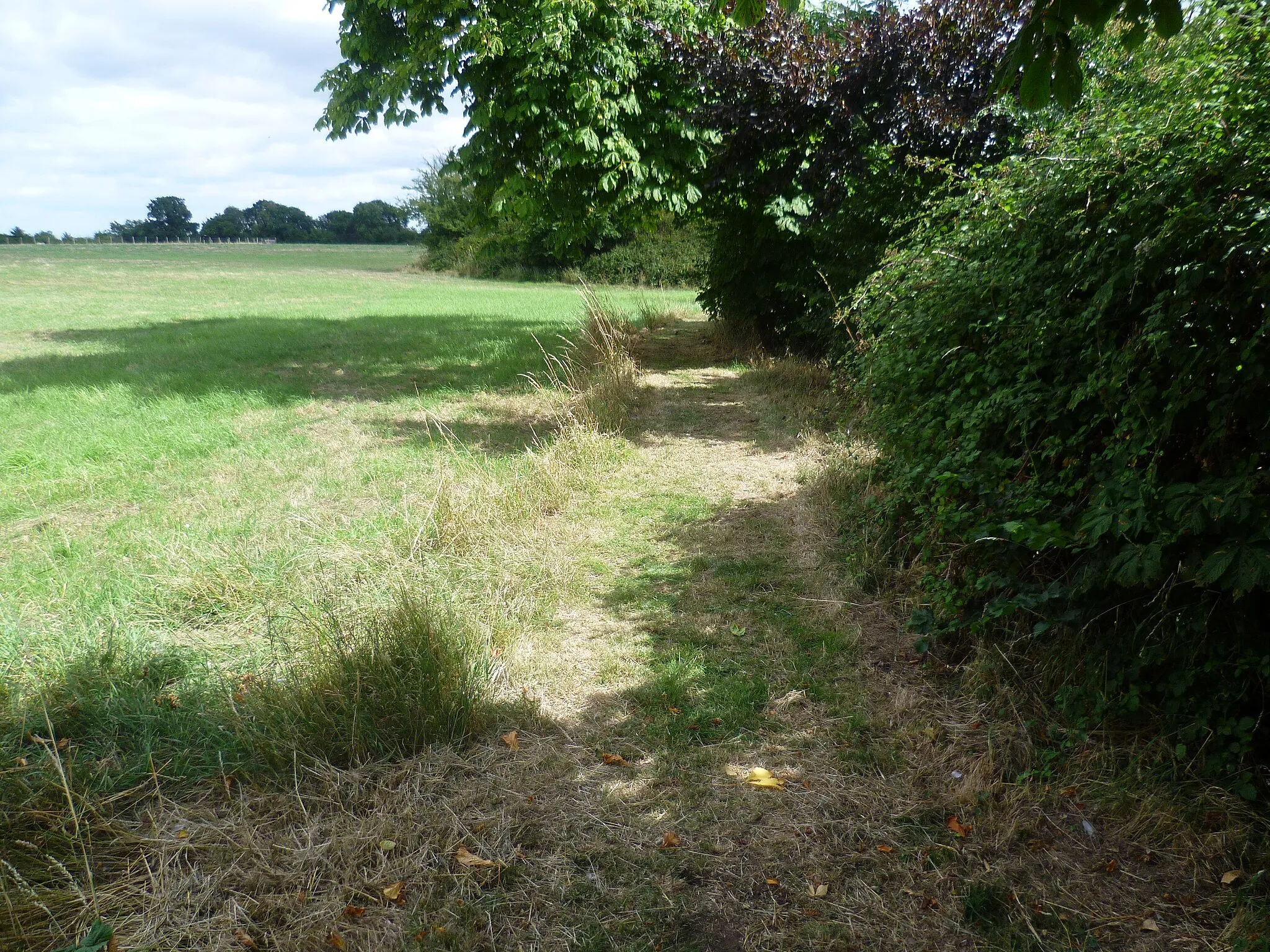 Photo showing: Footpath leading away from Sharnal Street