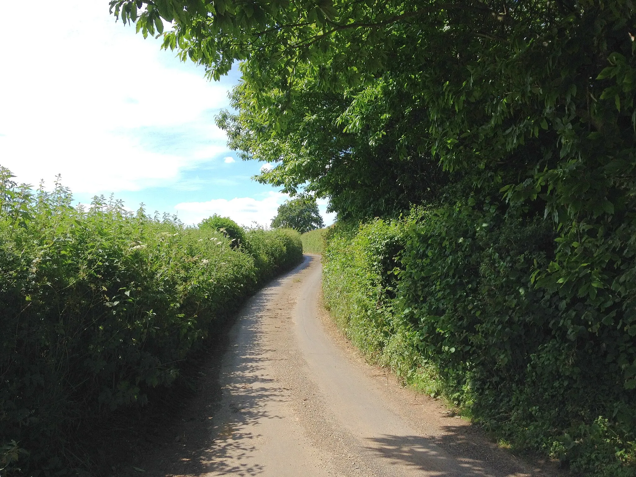 Photo showing: Coldblow Lane, near Thurnham