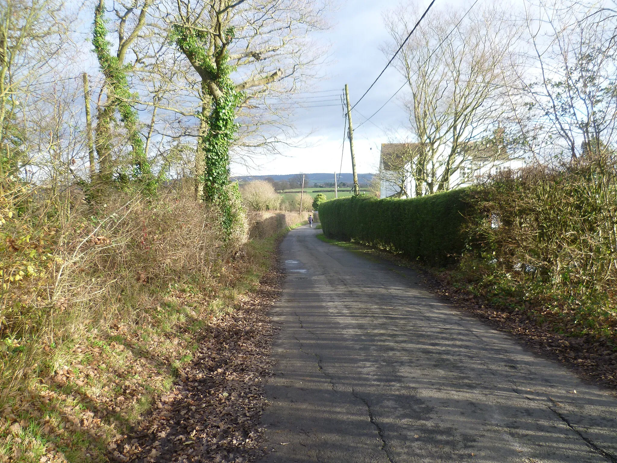 Photo showing: Chapel Street near Ryarsh